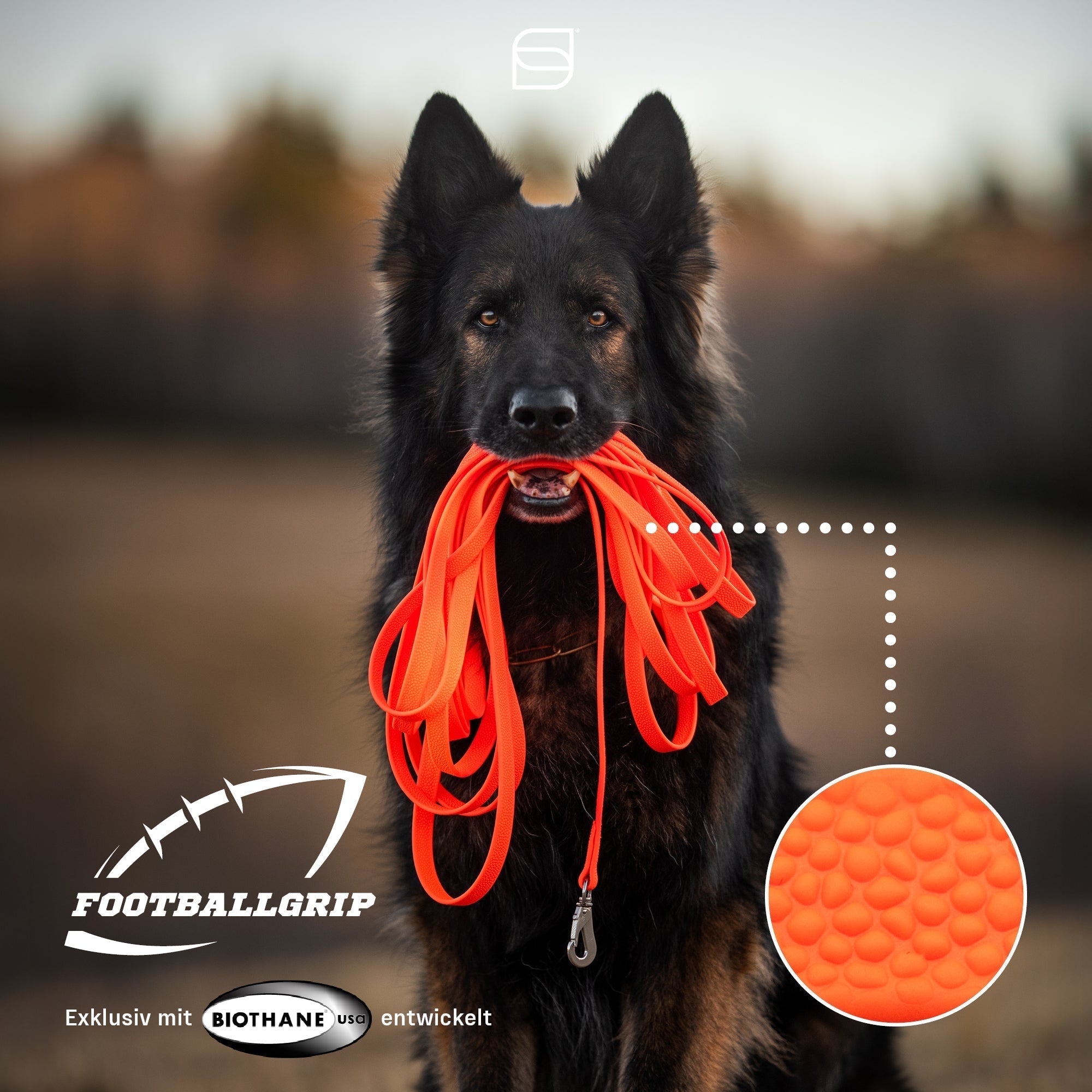 BioThane® Footballgrip: Die neue Generation der Schleppleine
