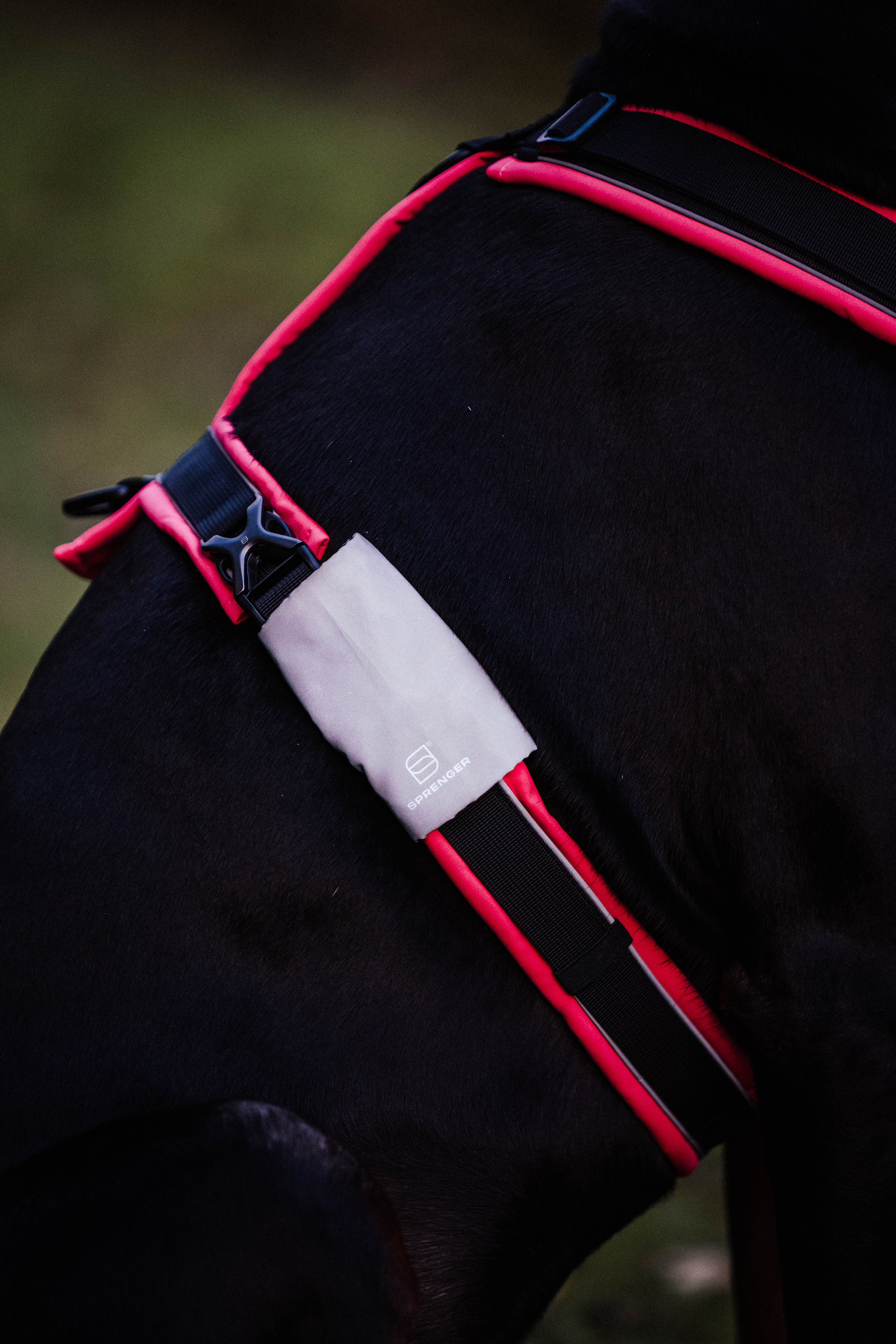 Reflektorpatches für Hundeausrüstung