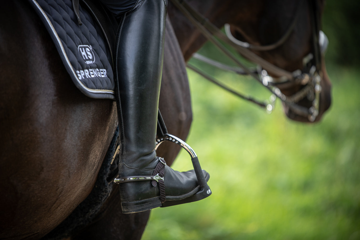 Flexite Steigbügel am Pferd