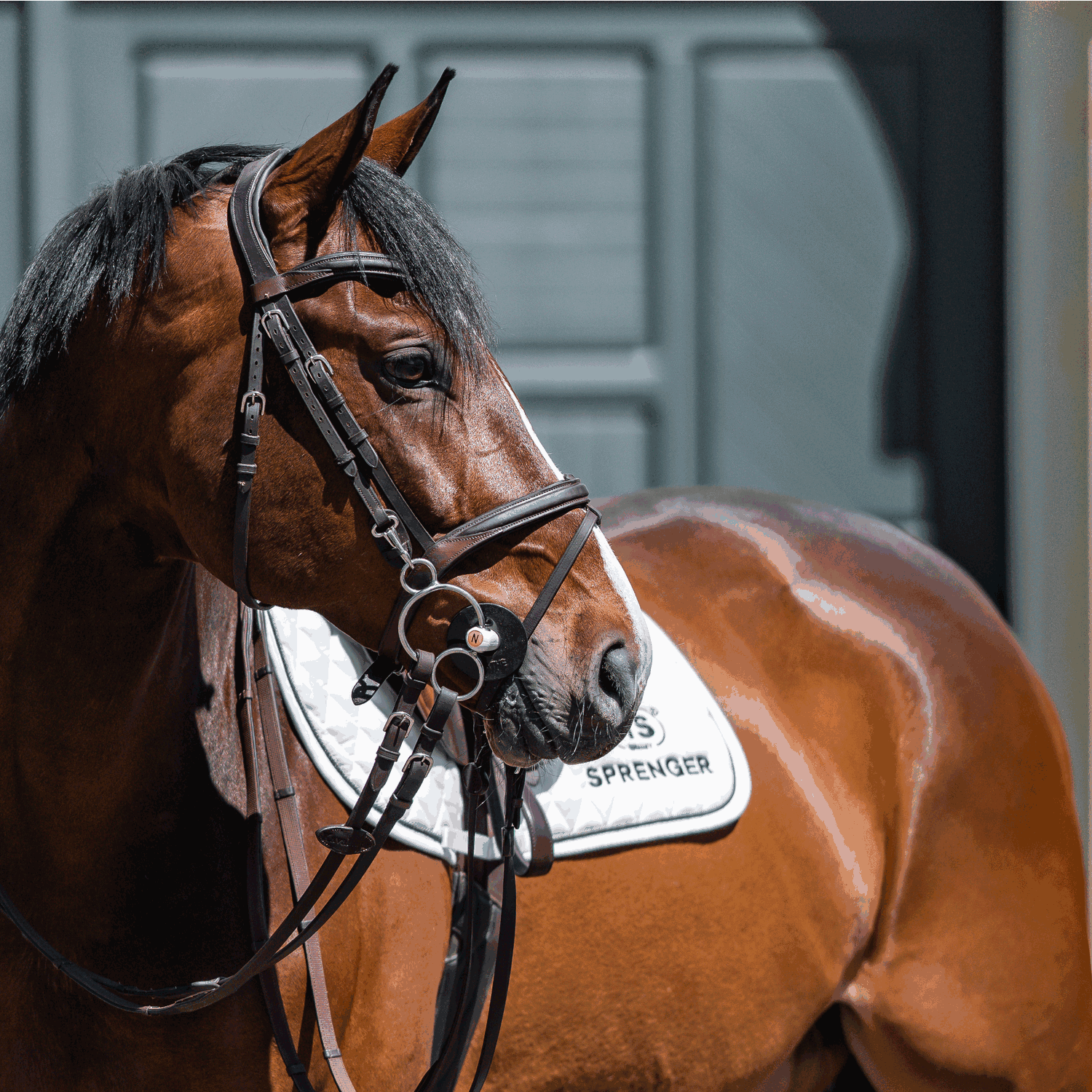 NATHE 3 Ring Gebiss 20 mm einfach gebrochen | 3-Ring_02.png | 1731064946