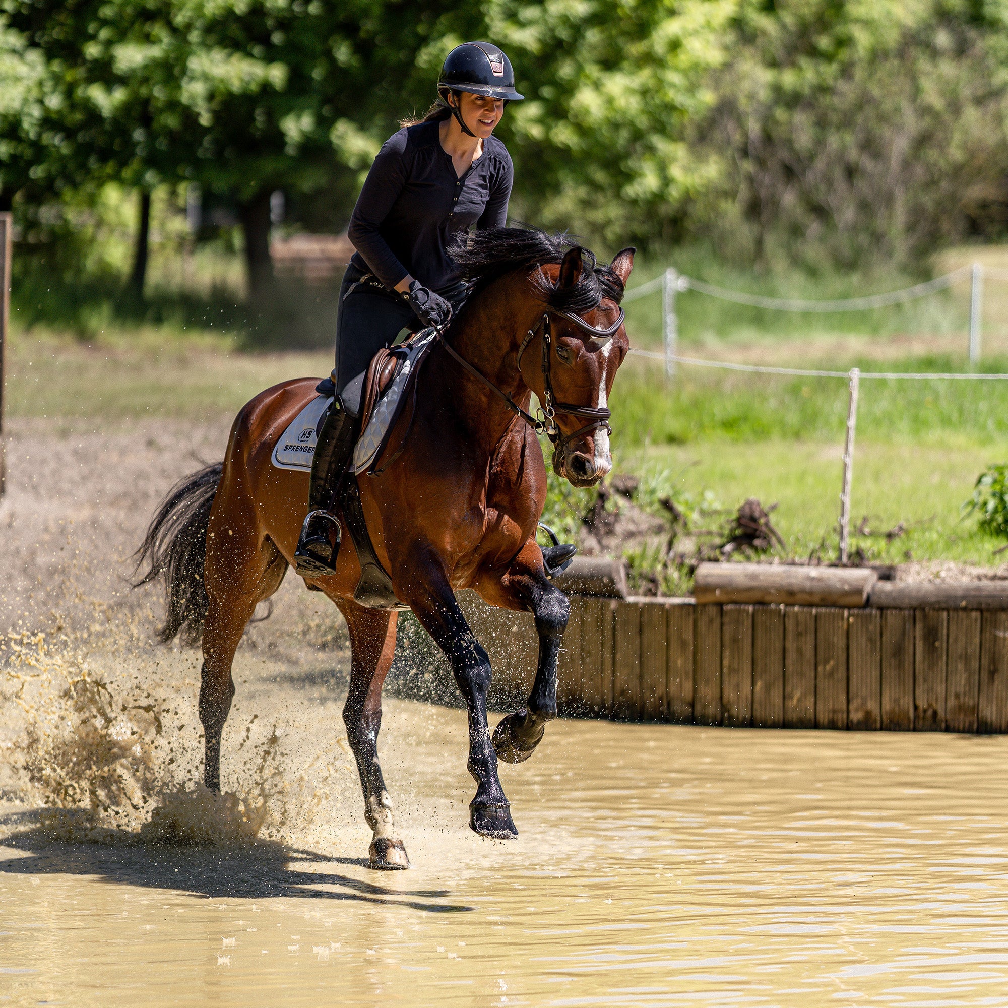 Braunes Pferd mit 3 Ring Gebiss beim Reiten durchs Wasser
