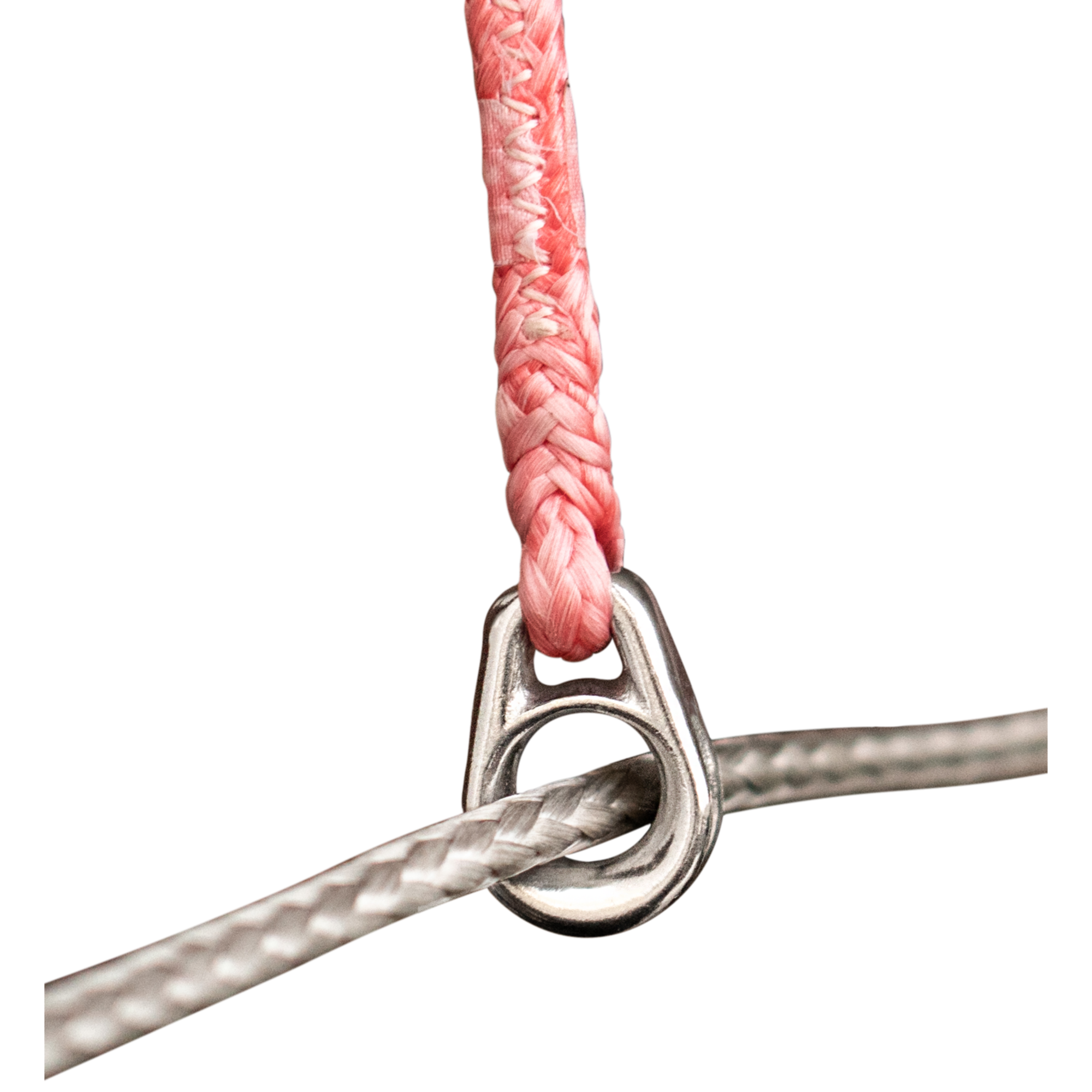 Kite Leitöse | 3542100056_2.png