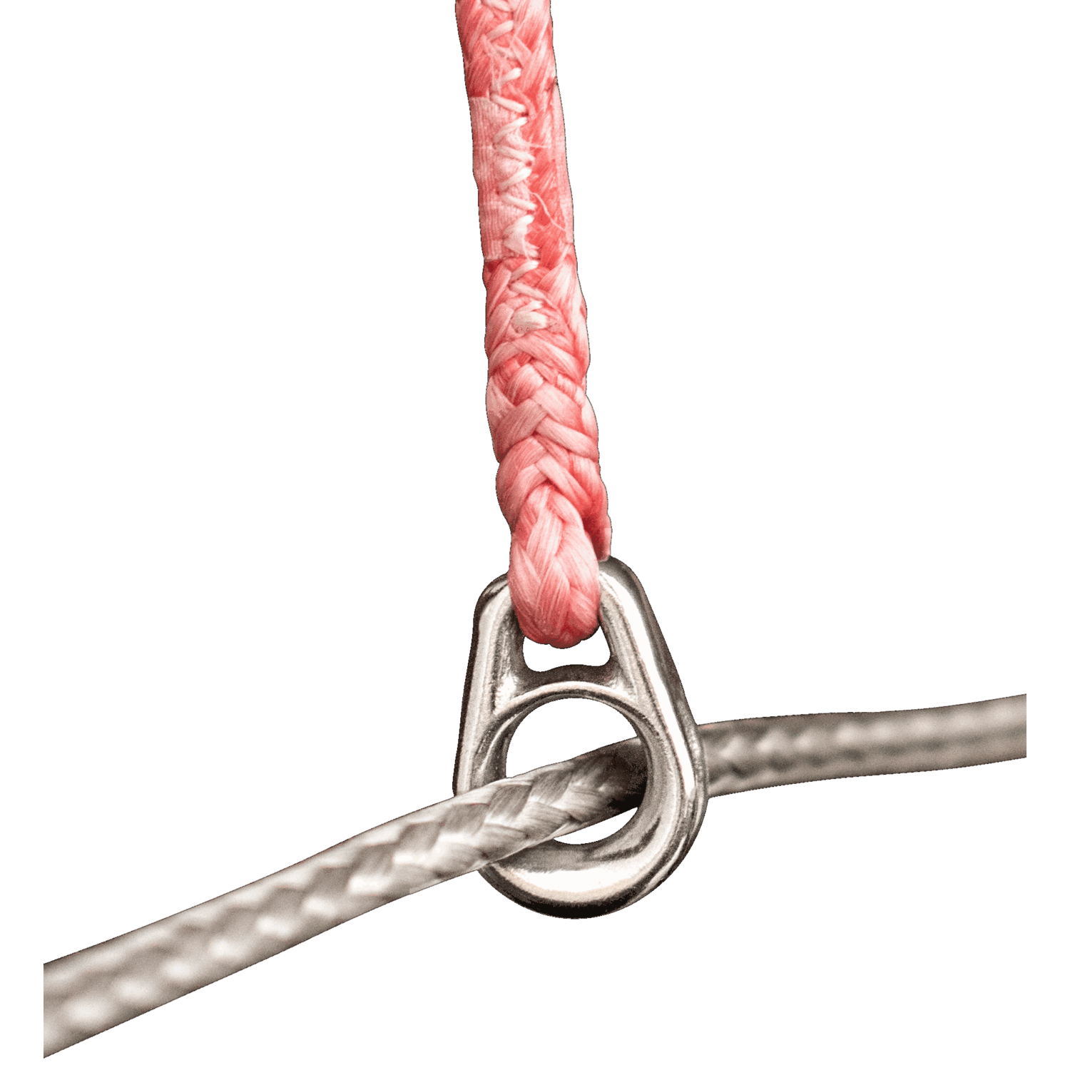 Kite Leitöse | 3542100056_2.png | 1731101641