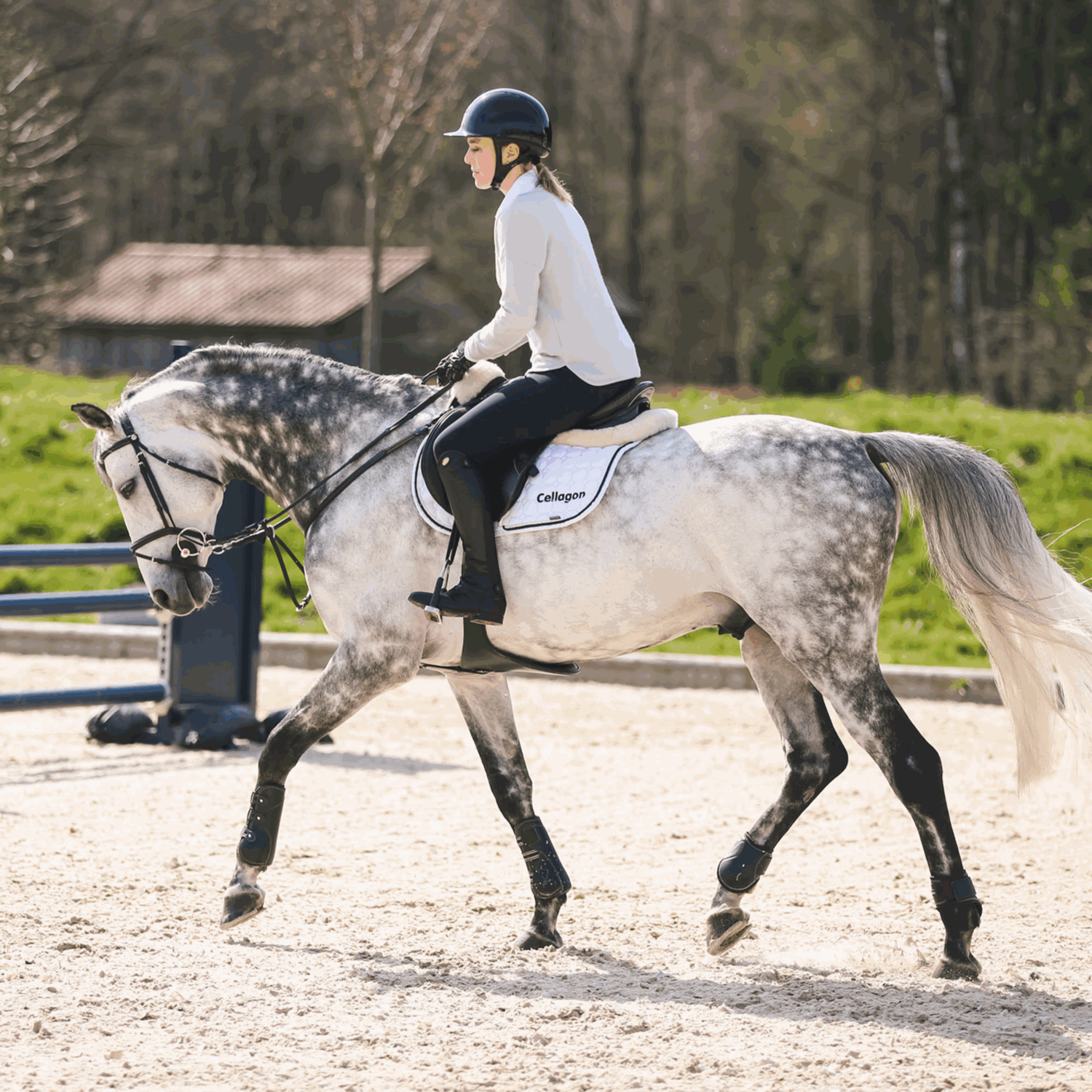 NATHE Aufziehtrense 20 mm mit biegsamer Stange | 40434_00_3.png | 1731064985