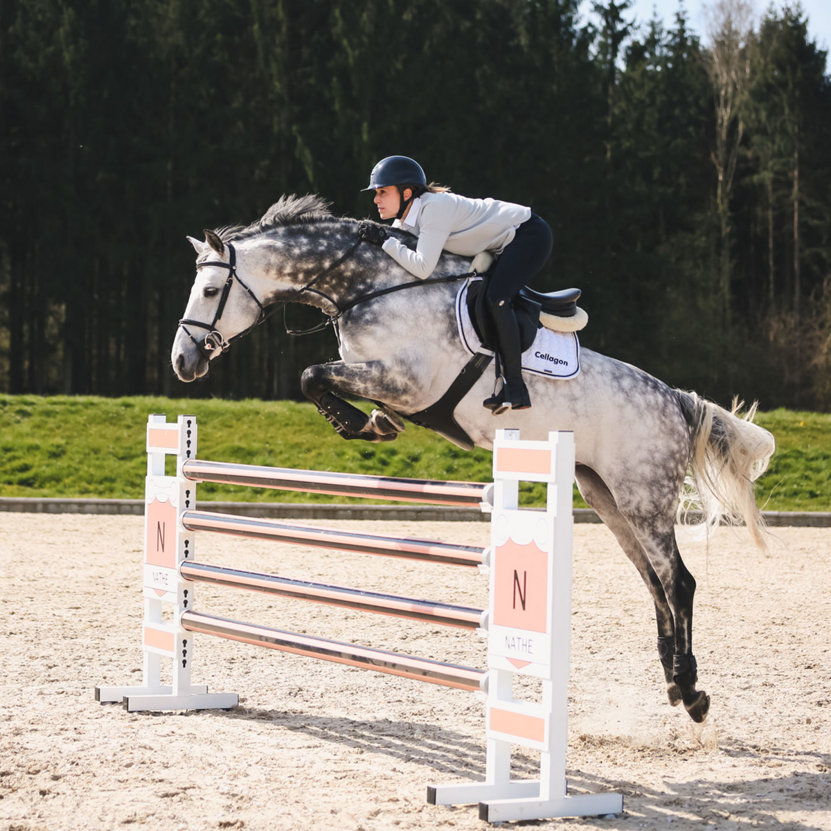 NATHE Aufziehtrense 20 mm mit biegsamer Stange | 40434_00_4.png