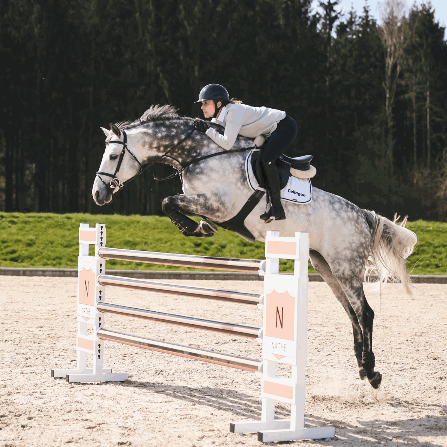 NATHE Aufziehtrense 20 mm mit biegsamer Stange | 40434_00_4.png | 1731065000