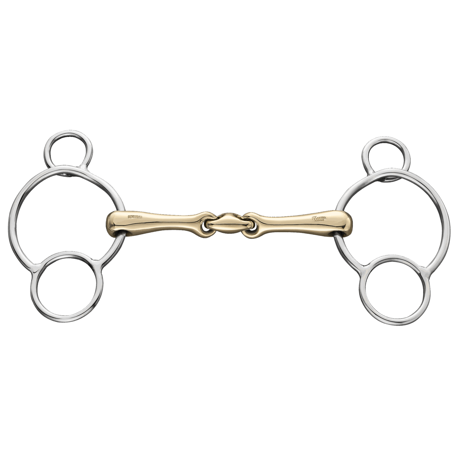 DIAMOND☆DOGS Cruising Show SWAN DIAMOND☆DOGS Cruising Show SWAN