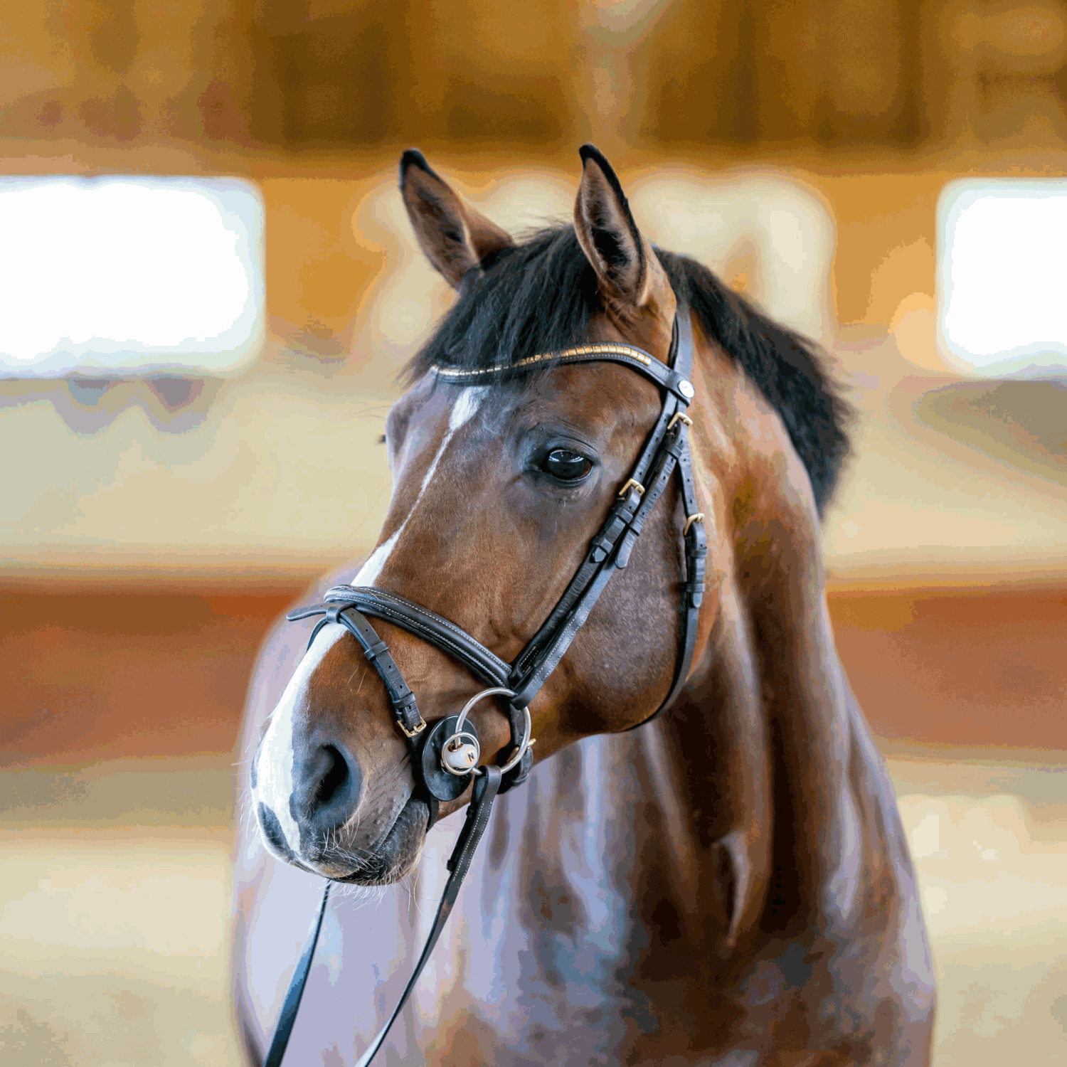 NATHE Standardgebiss 20 mm mit zusätzlichem kleinen Ring | 40871_02.png | 1731065020