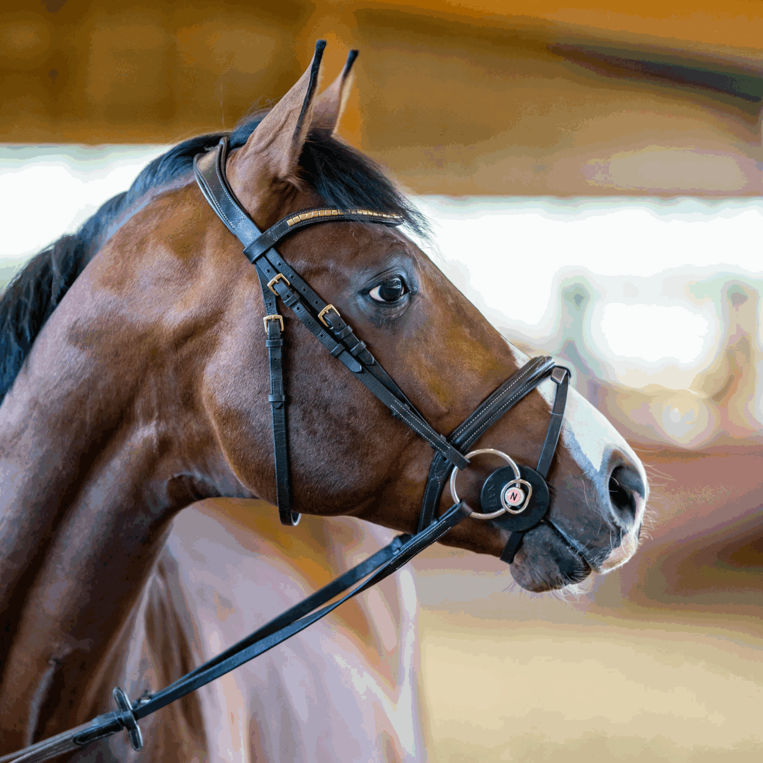 NATHE Stangengebiss 20 mm mit Zungenfreiheit und zusätzlichem kleinen Ring | 40872_02.png | 1731065058