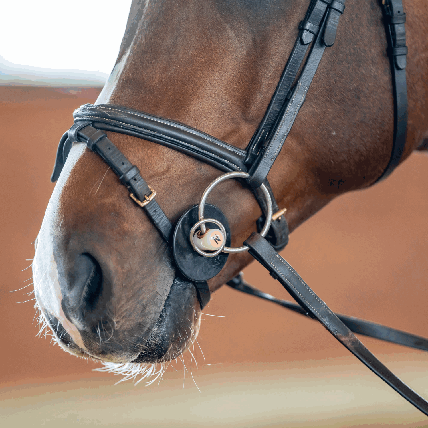 NATHE Stangengebiss 20 mm mit Zungenfreiheit und zusätzlichem kleinen Ring | 40872_03.png | 1731065060