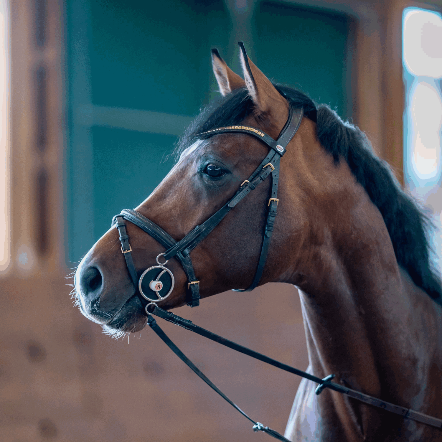 NATHE 3 Ring Gebiss mit Gleitsteg 20 mm mit biegsamer Stange | 41290-02.png | 1731065134