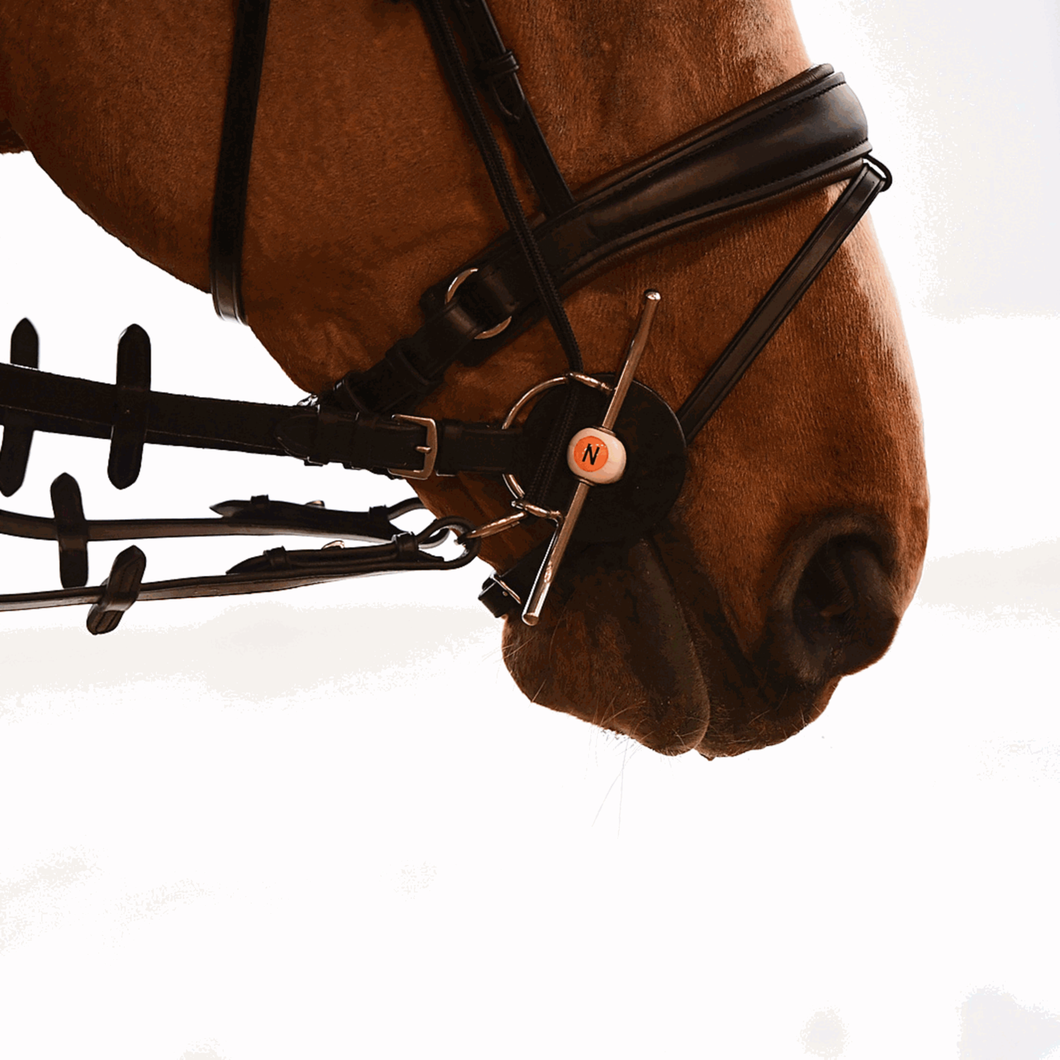 NATHE Schenkelaufziehtrense 20 mm mit biegsamer Stange | 41292_00_3.png | 1731065153