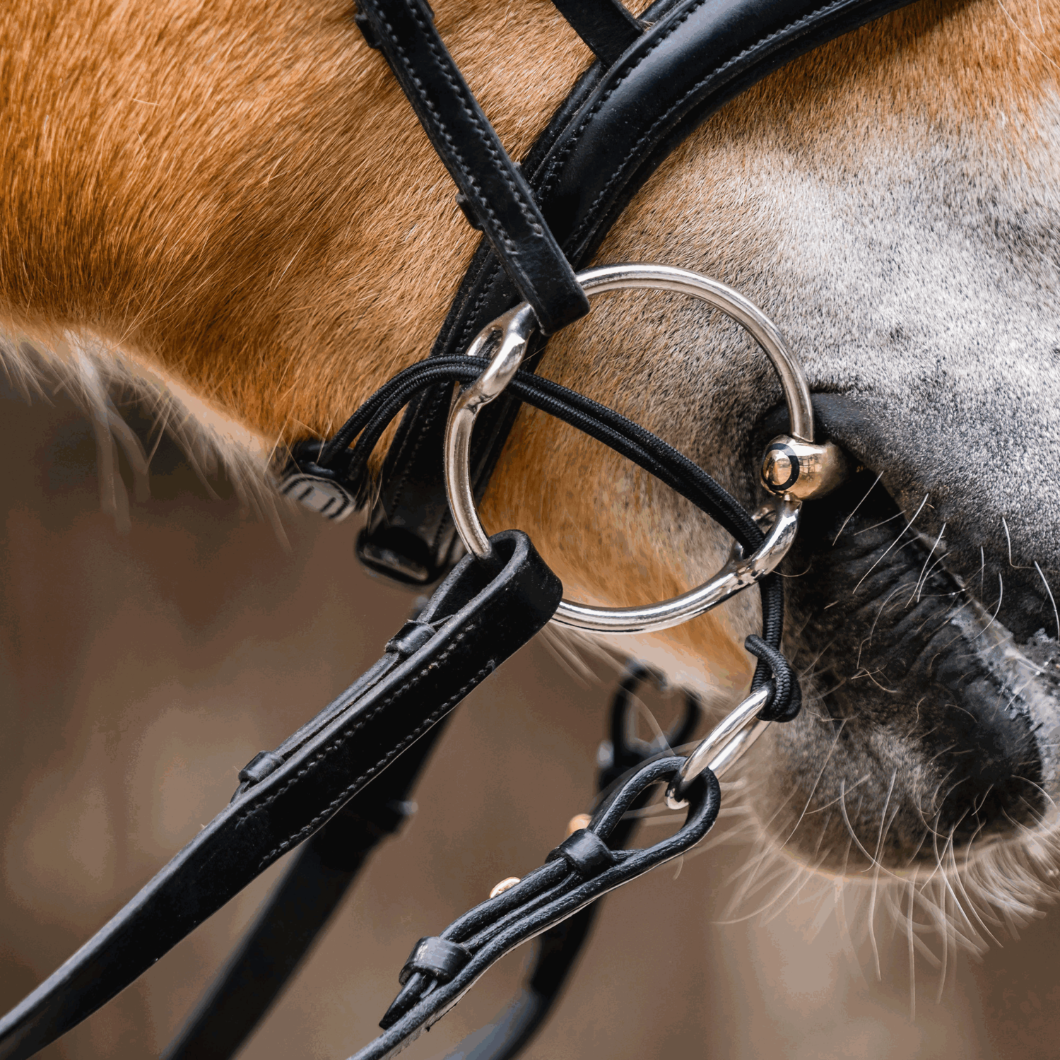 Backenstücke 45 cm für Aufziehtrense | 4211400000_2.png | 1744063257