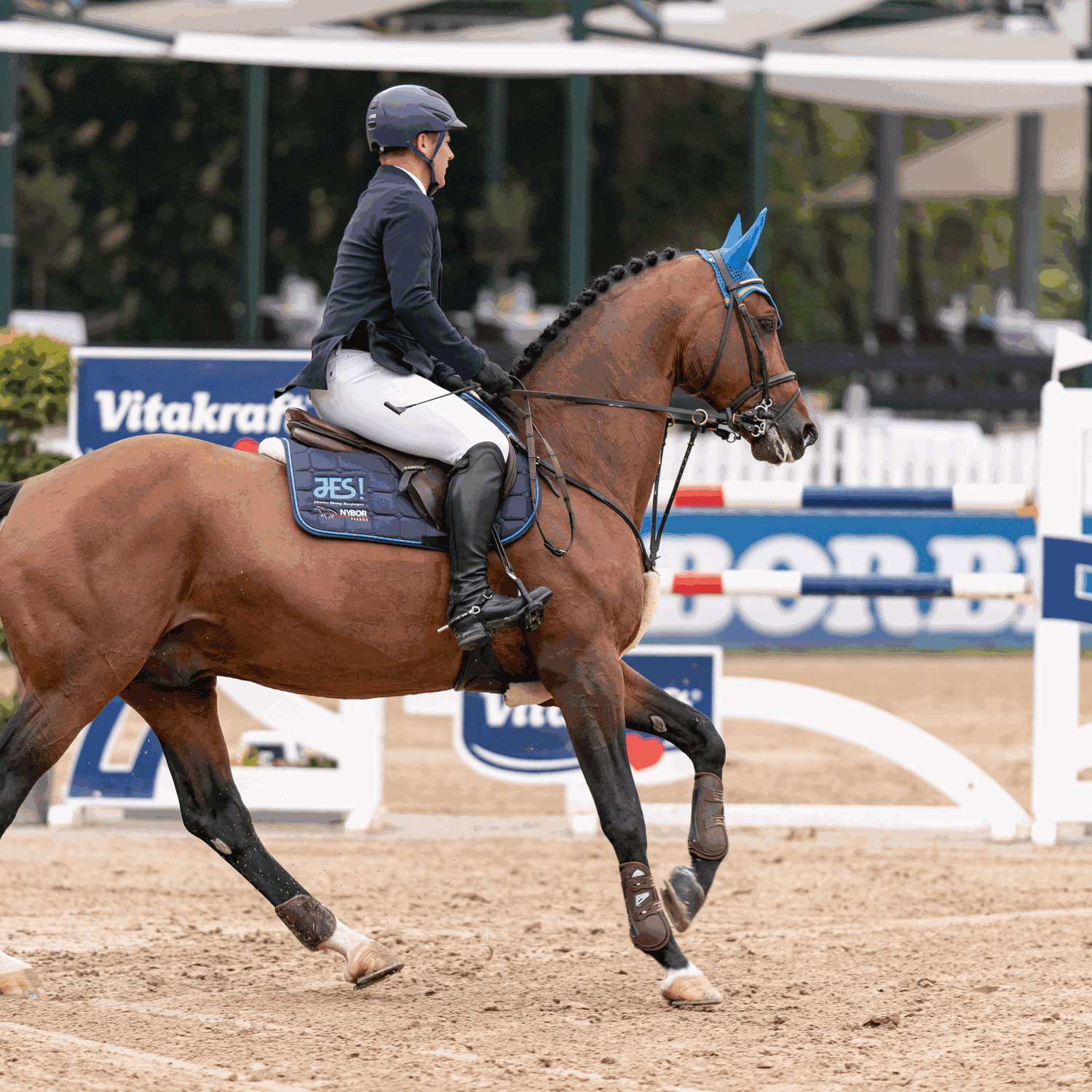 Bow Balance Steigbügel Edelstahl rostfrei | 44266_55_3.png | 1731067621