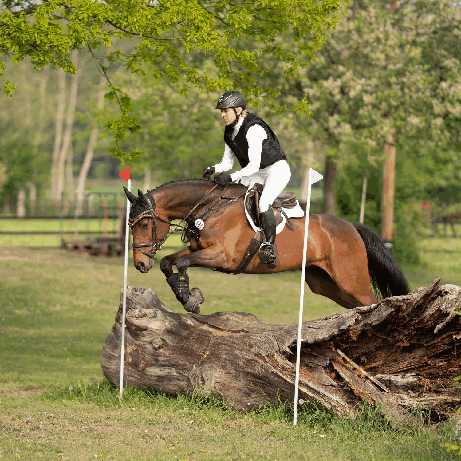 Bow Balance Steigbügel Edelstahl rostfrei | 44266_55_5.png | 1731067637