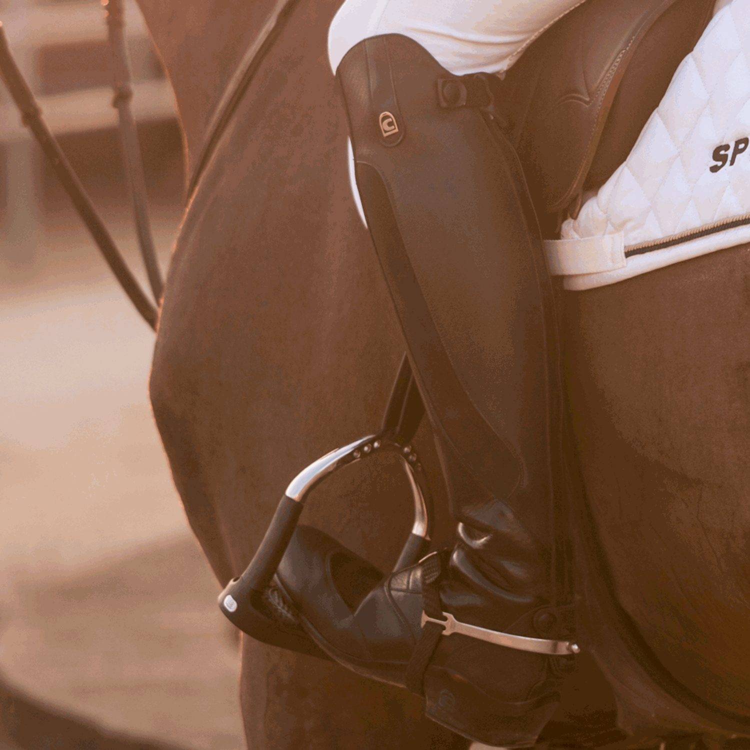 Steigbügel Einlagen Gummi für FLEXCITE schwarz/silber | 44288_122_55_2.png | 1731067675