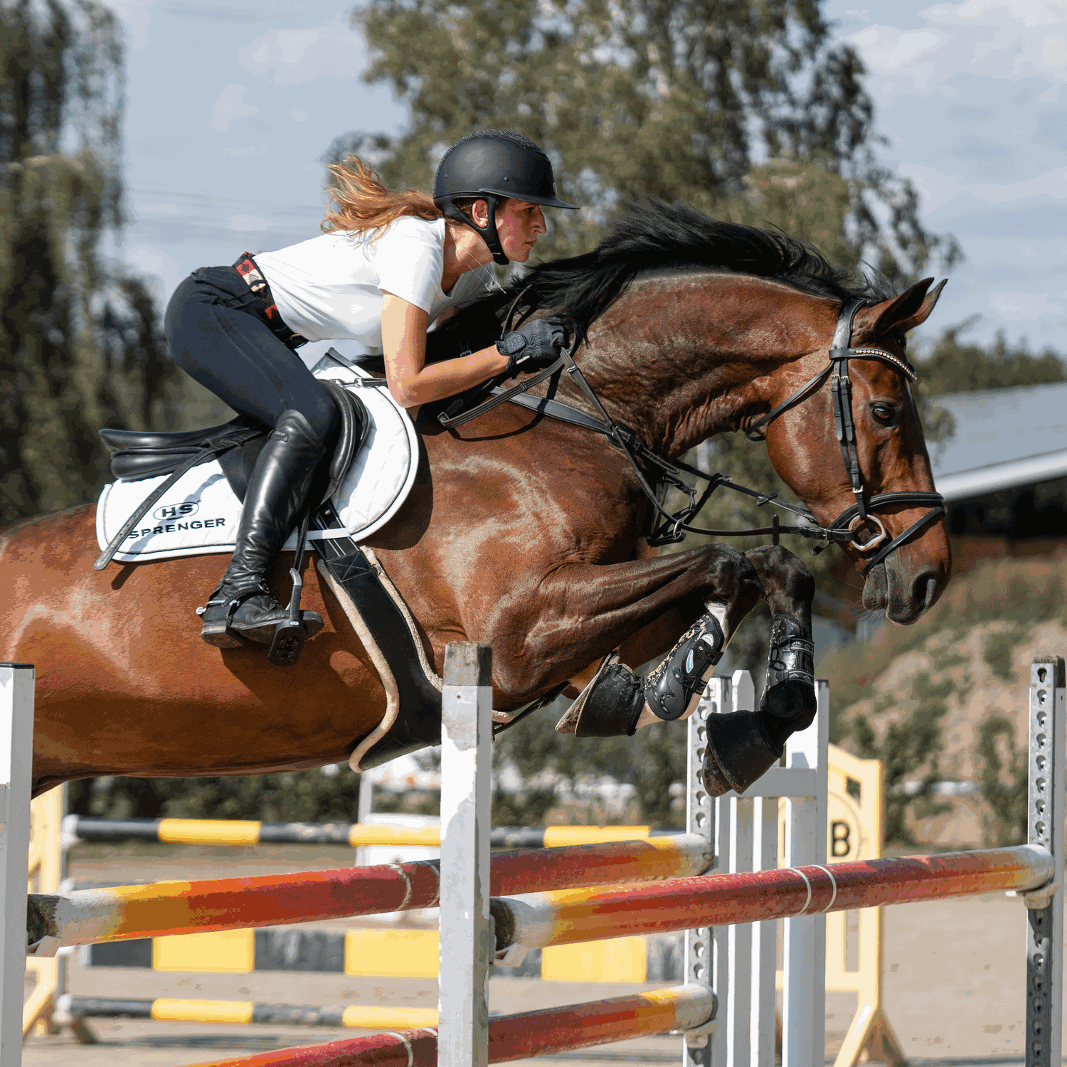 FLEXCITE Grip Steigbügel Edelstahl rostfrei matt 120 mm Trittweite | 44289_65_05.png | 1731067734