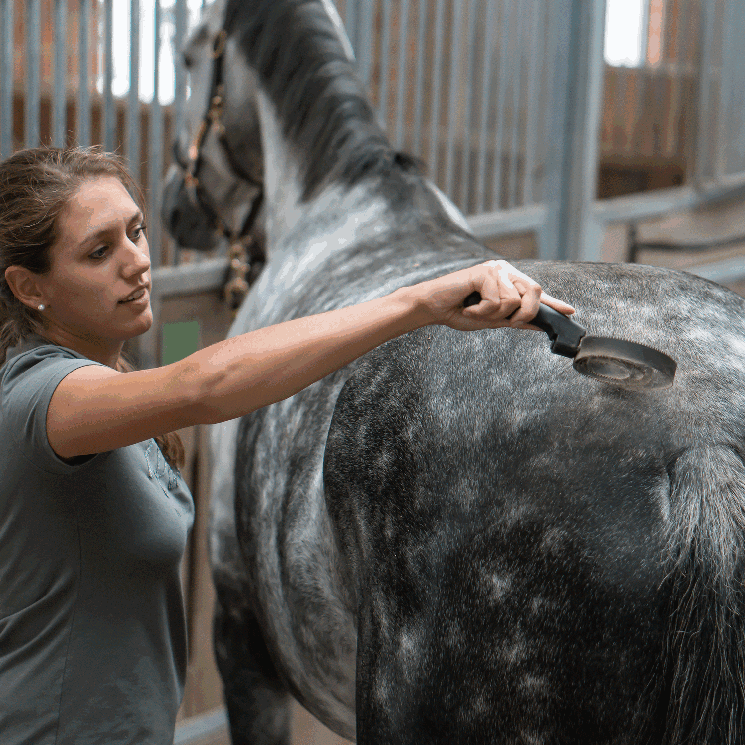 Federstriegel mit Kunststoffgriff | 4527100214_2.png | 1731070534