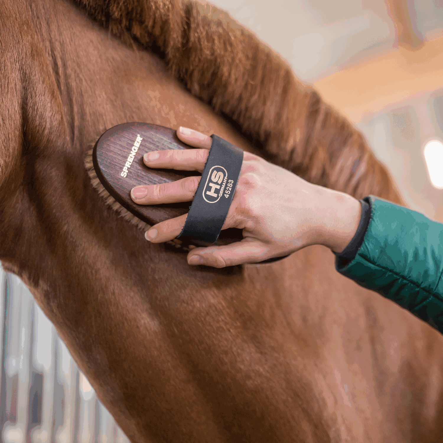 Kardätsche Perlon Borsten | 4528000000_1.png | 1731070645