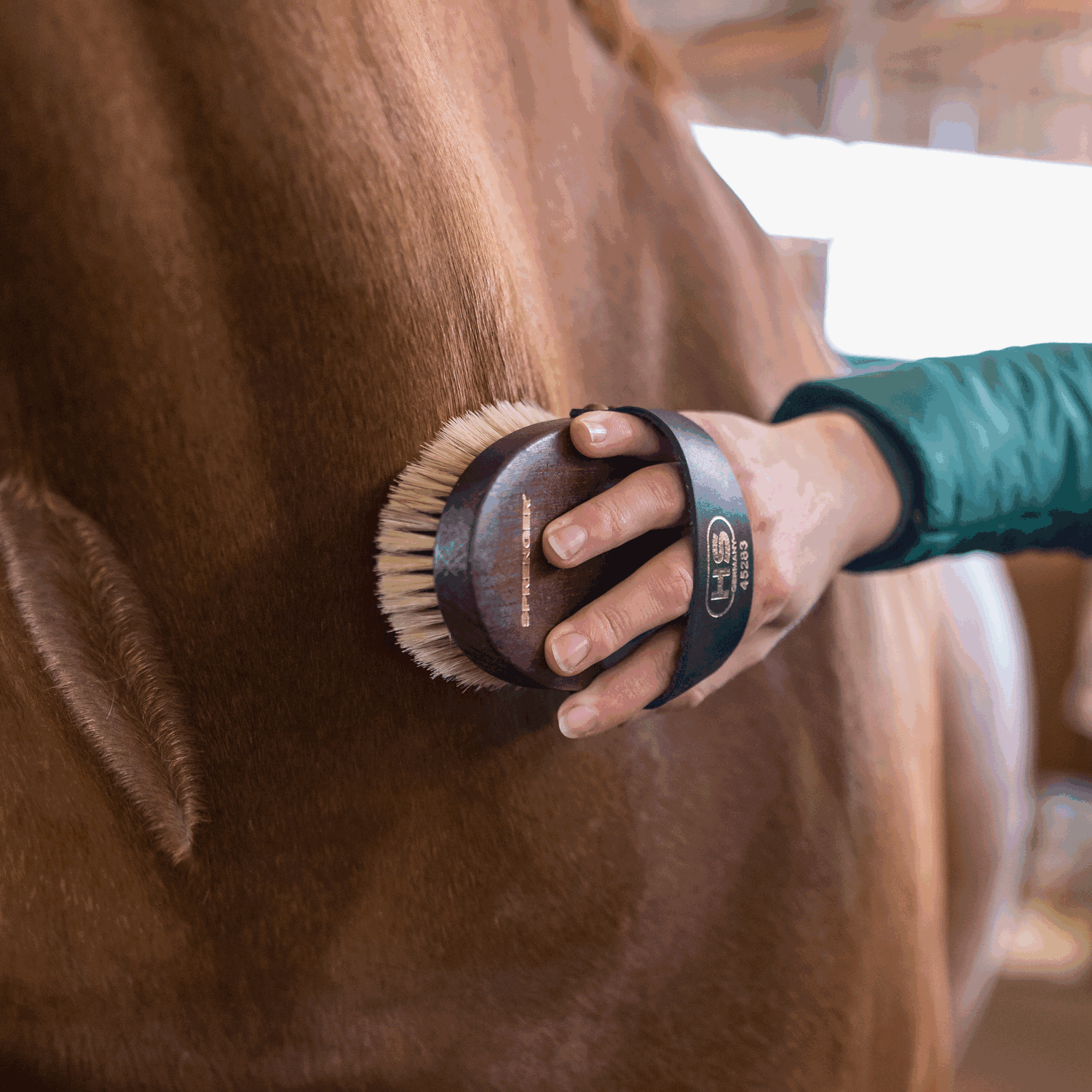 Kardätsche Perlon Borsten | 4528000000_2.png | 1731070646