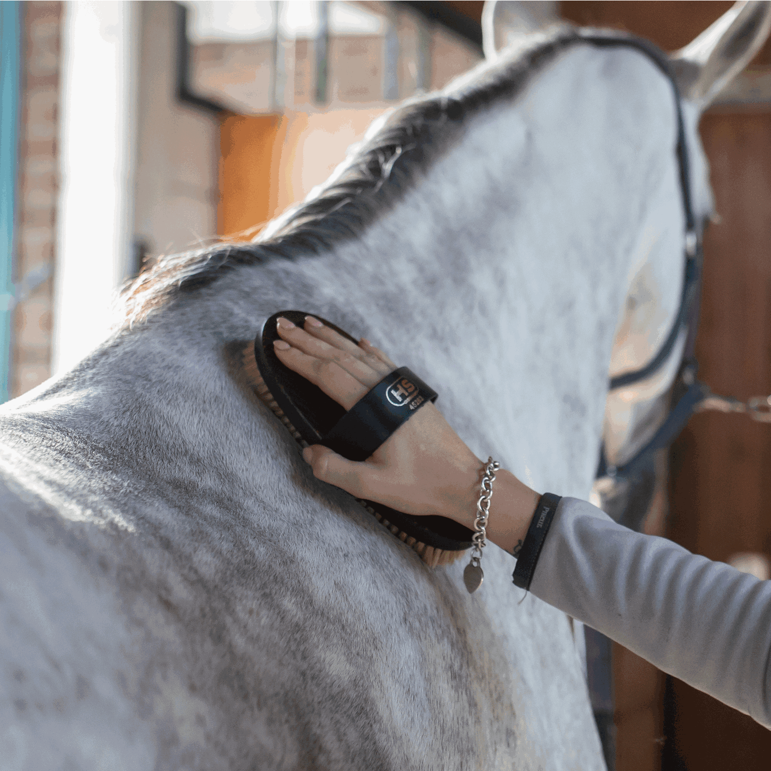 Kardätsche Perlon Borsten | 4528000000_3.png | 1731070646