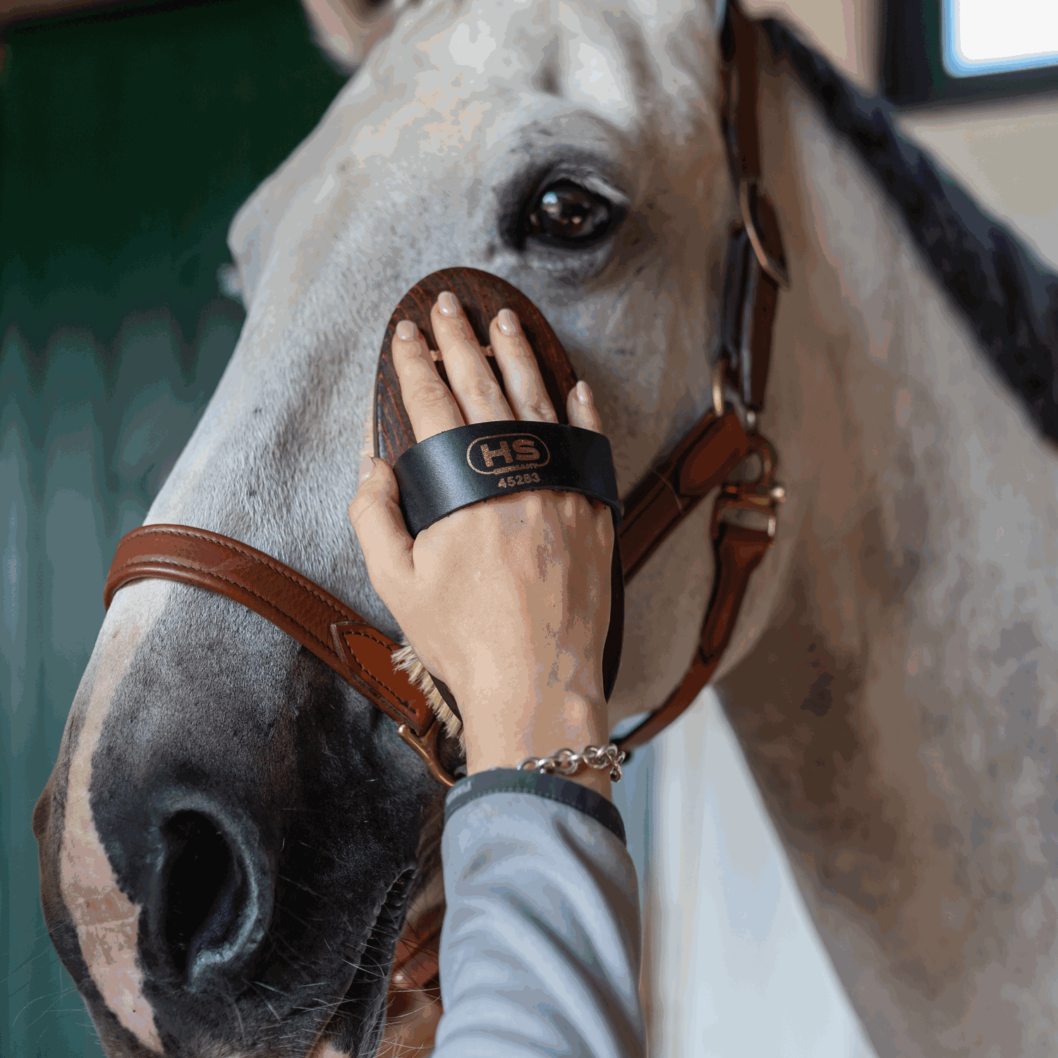 Kardätsche Perlon Borsten | 4528000000_6.png | 1731070664