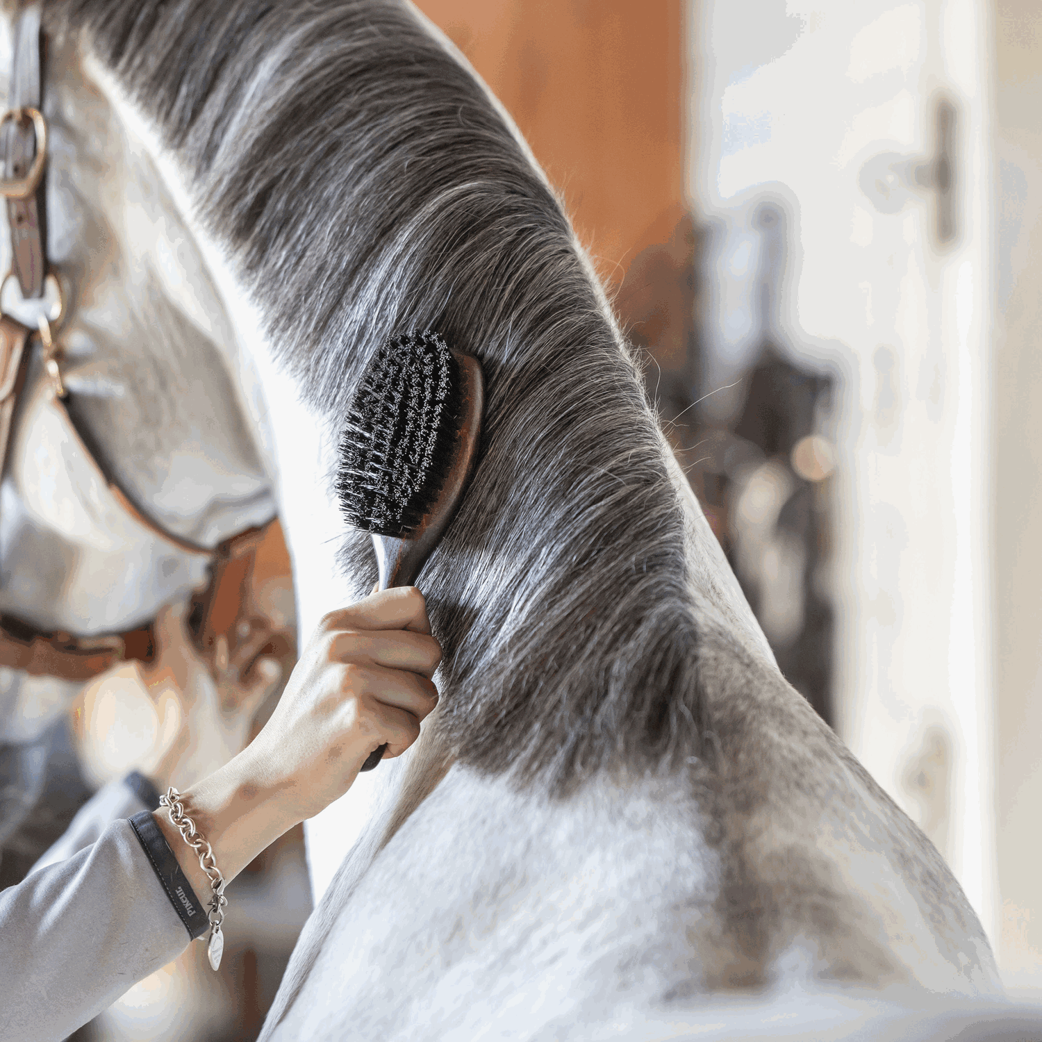 Mähnenbürste mit zwei Seiten | 45281_Einsatz.png | 1731070683