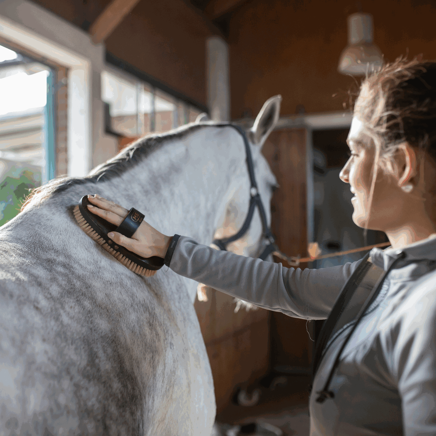 Kardätsche Naturborsten | 4528300000_1.png | 1731070702