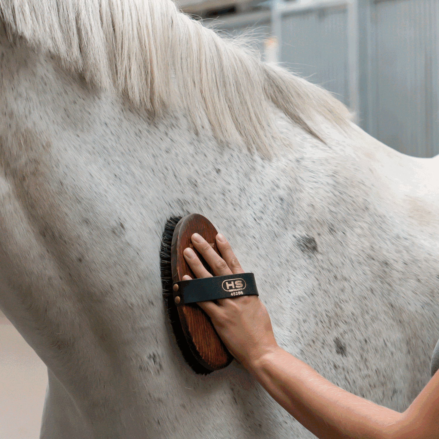 Kardätsche Borsten aus Rosshaarmischung | 4528600000_4.png | 1731070853