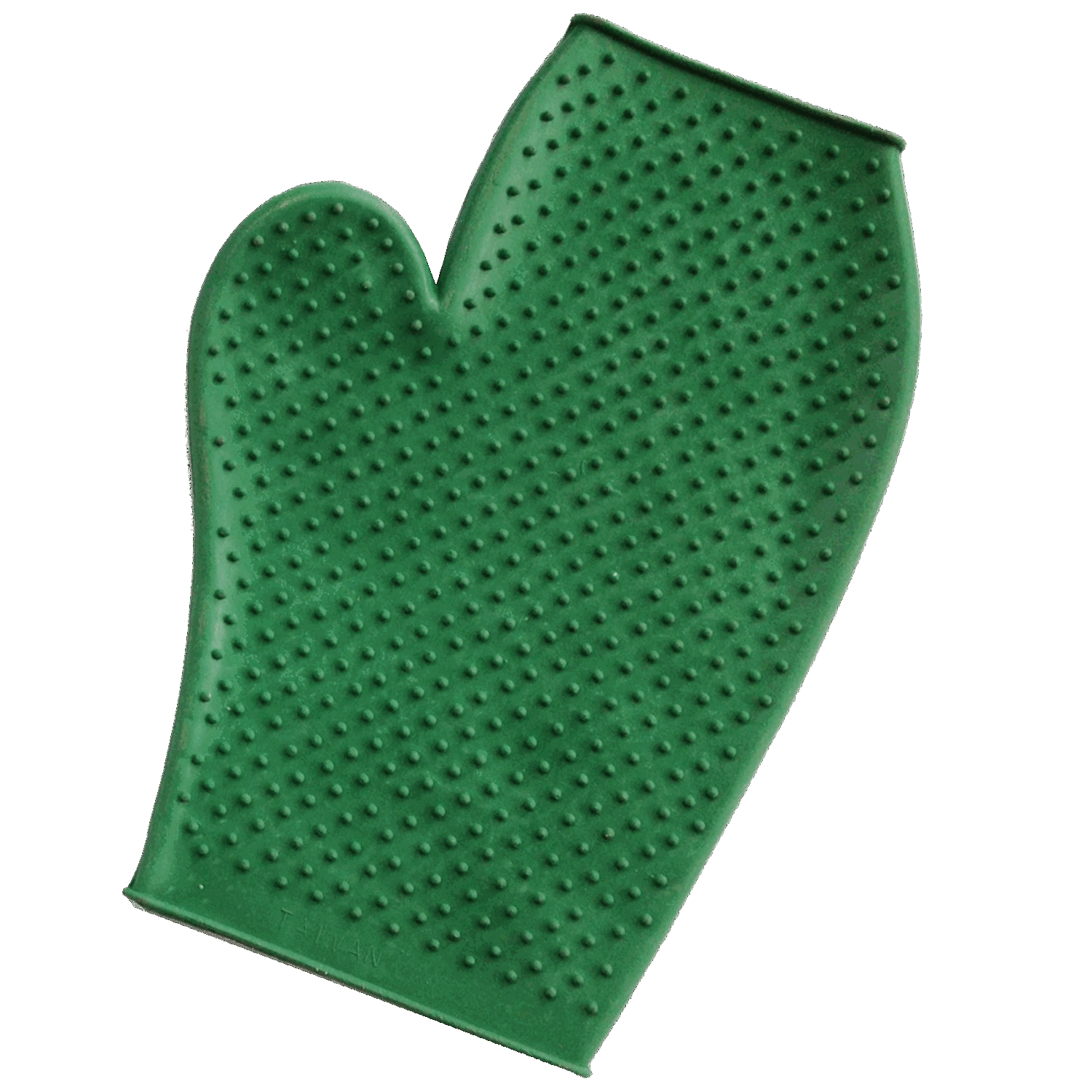 Putzhandschuh Gummi mit Noppen | 45287_000_00_gruen.png | 1731070911