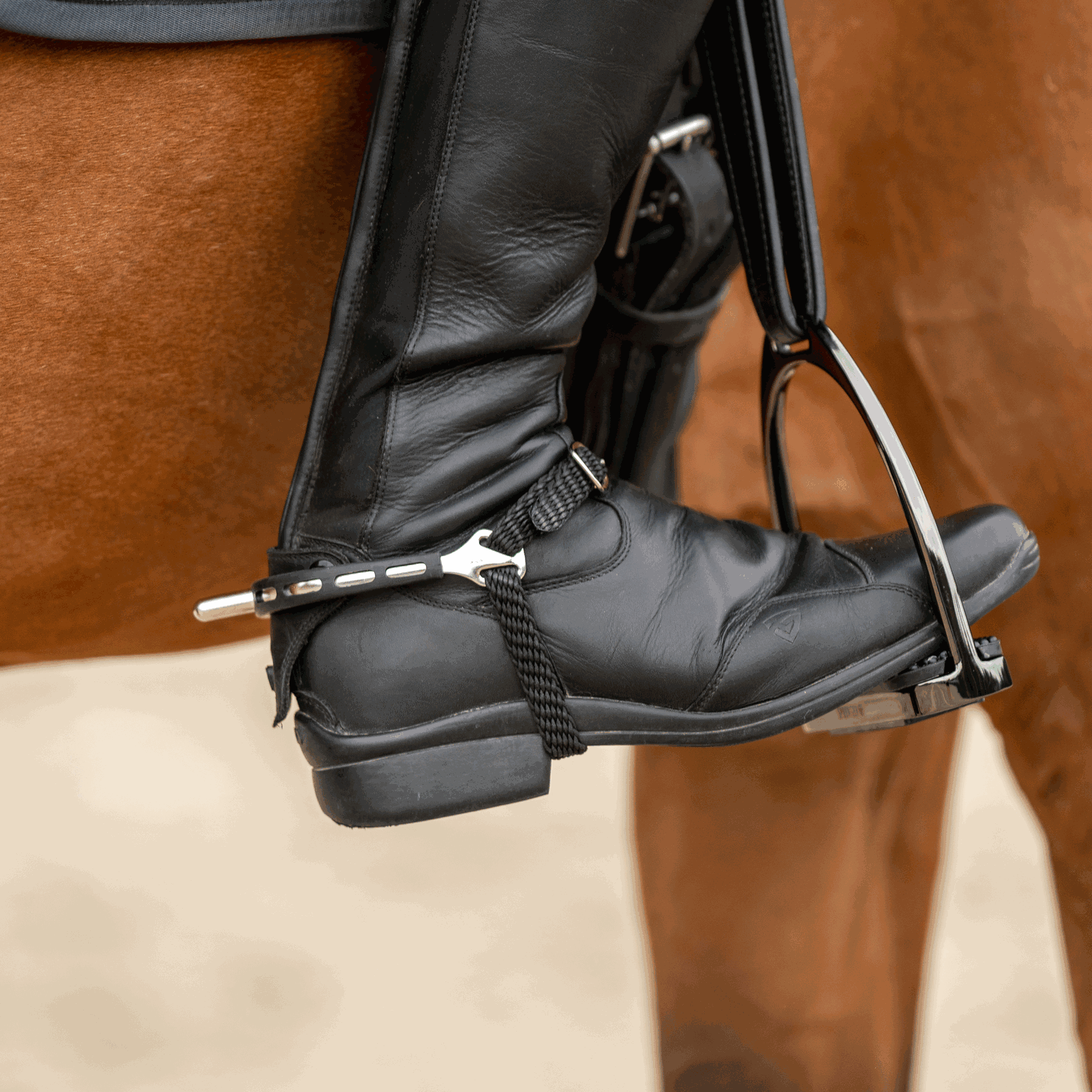 Ultra fit EXTRA GRIP Sporen Edelstahl rostfrei 25 mm abgerundet | 4752500055_2.png | 1731068894