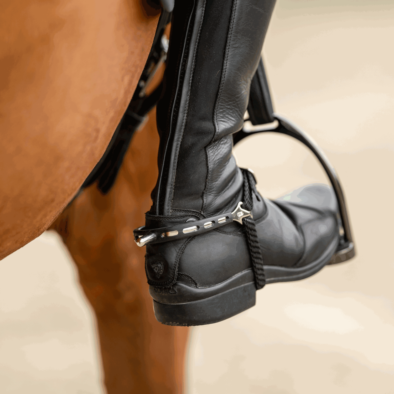 Ultra fit EXTRA GRIP Sporen Edelstahl rostfrei 25 mm abgerundet | 4752500055_4.png | 1731068895