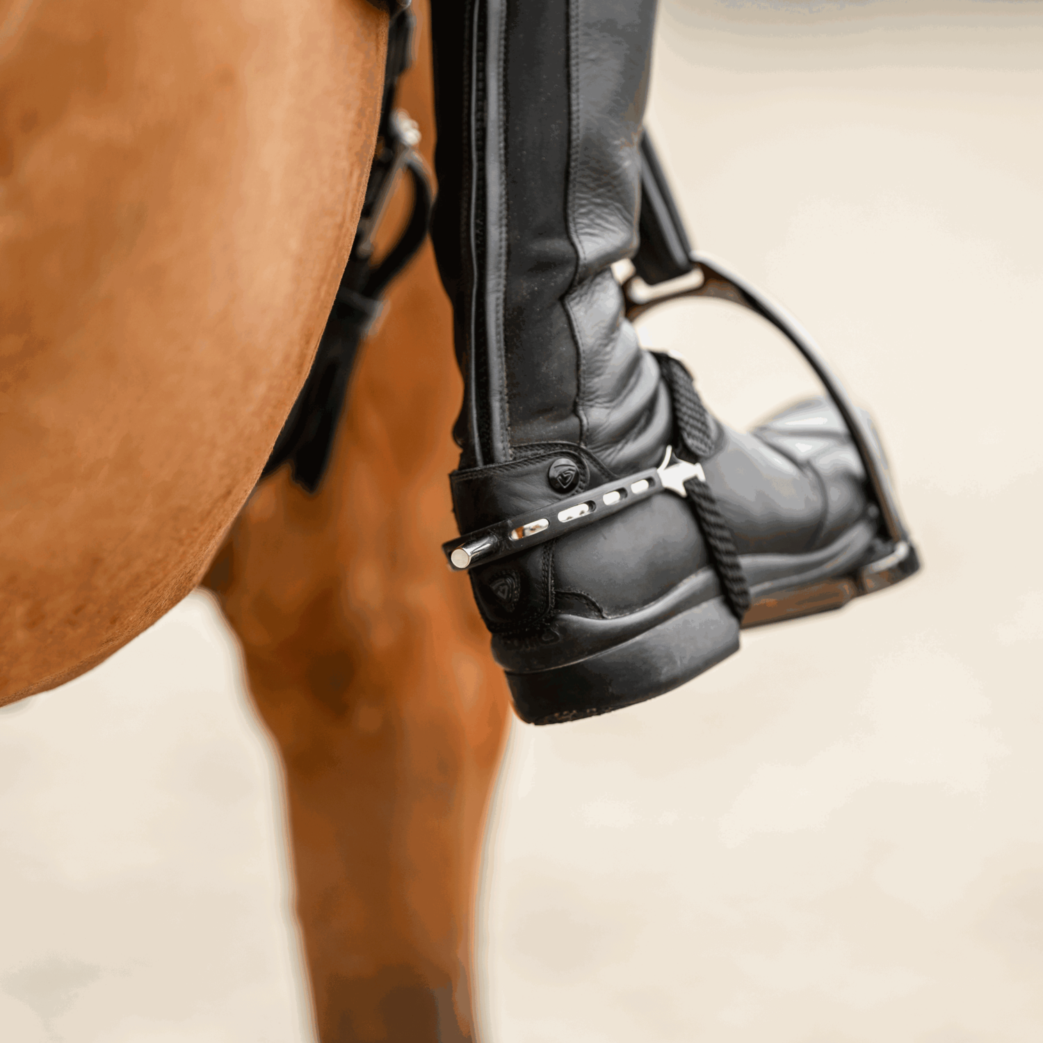 ULTRA fit EXTRA GRIP Sporen Edelstahl rostfrei 25 mm flach | 4752510055_2.png | 1731069027