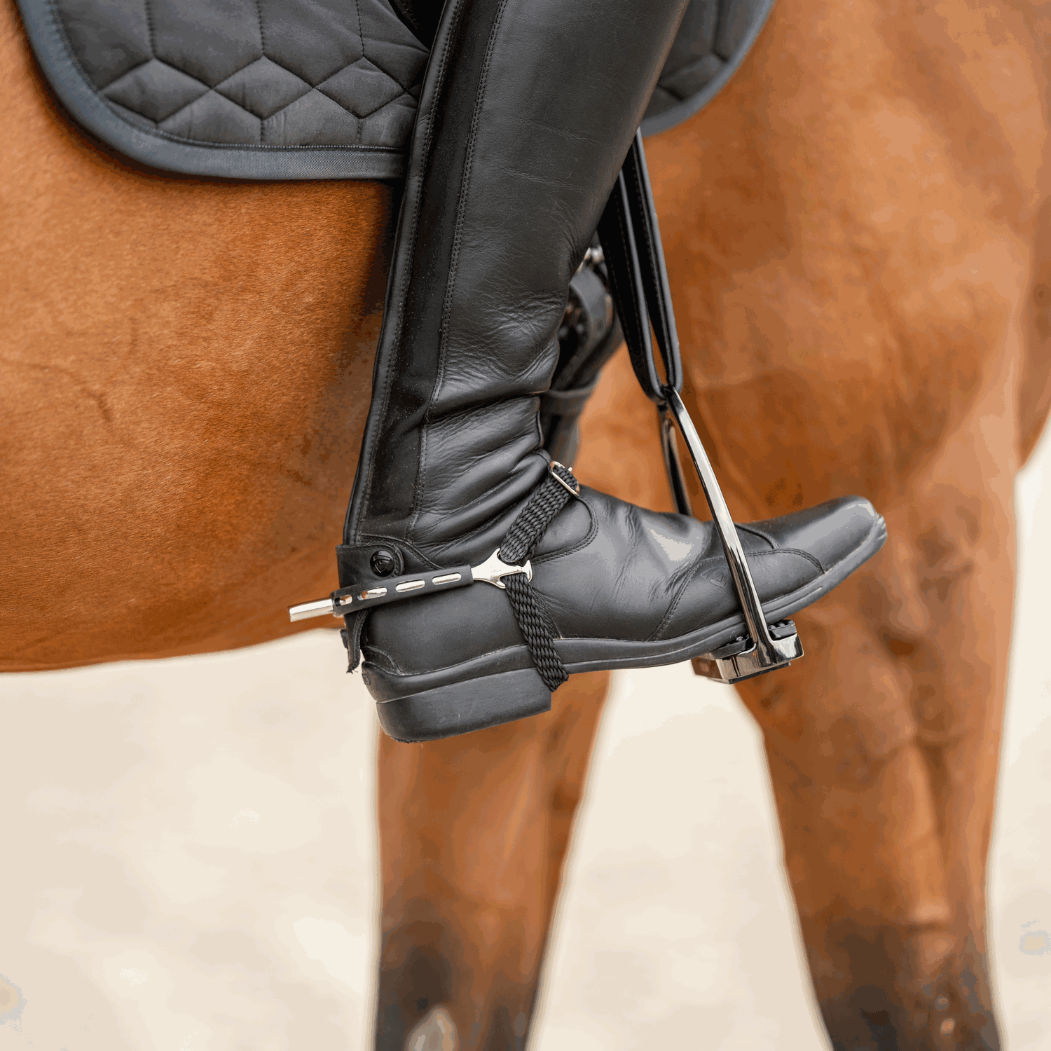 ULTRA fit EXTRA GRIP Sporen Edelstahl rostfrei 25 mm flach | 4752510055_4.png | 1731069028