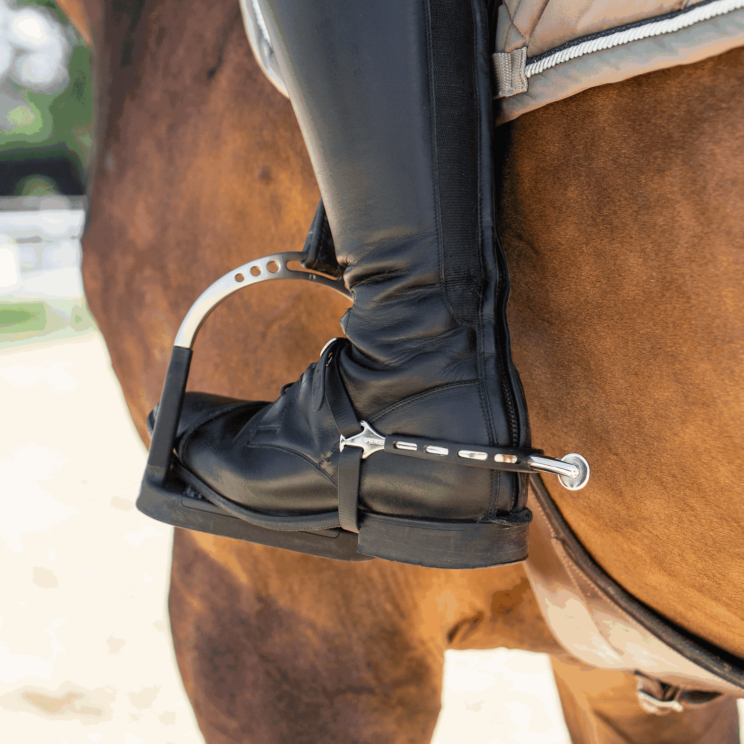 ULTRA fit EXTRA GRIP Sporen Edelstahl rostfrei 40 mm abgerundet mit großem Ballrad | 4753500555_2.png | 1731069085