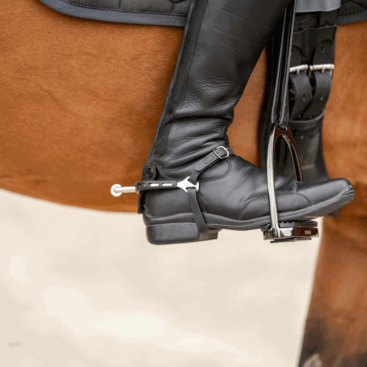 ULTRA fit EXTRA GRIP Sporen Edelstahl rostfrei 40 mm abgerundet mit kleinem Ballrad | 4753500655_6.png | 1731069161