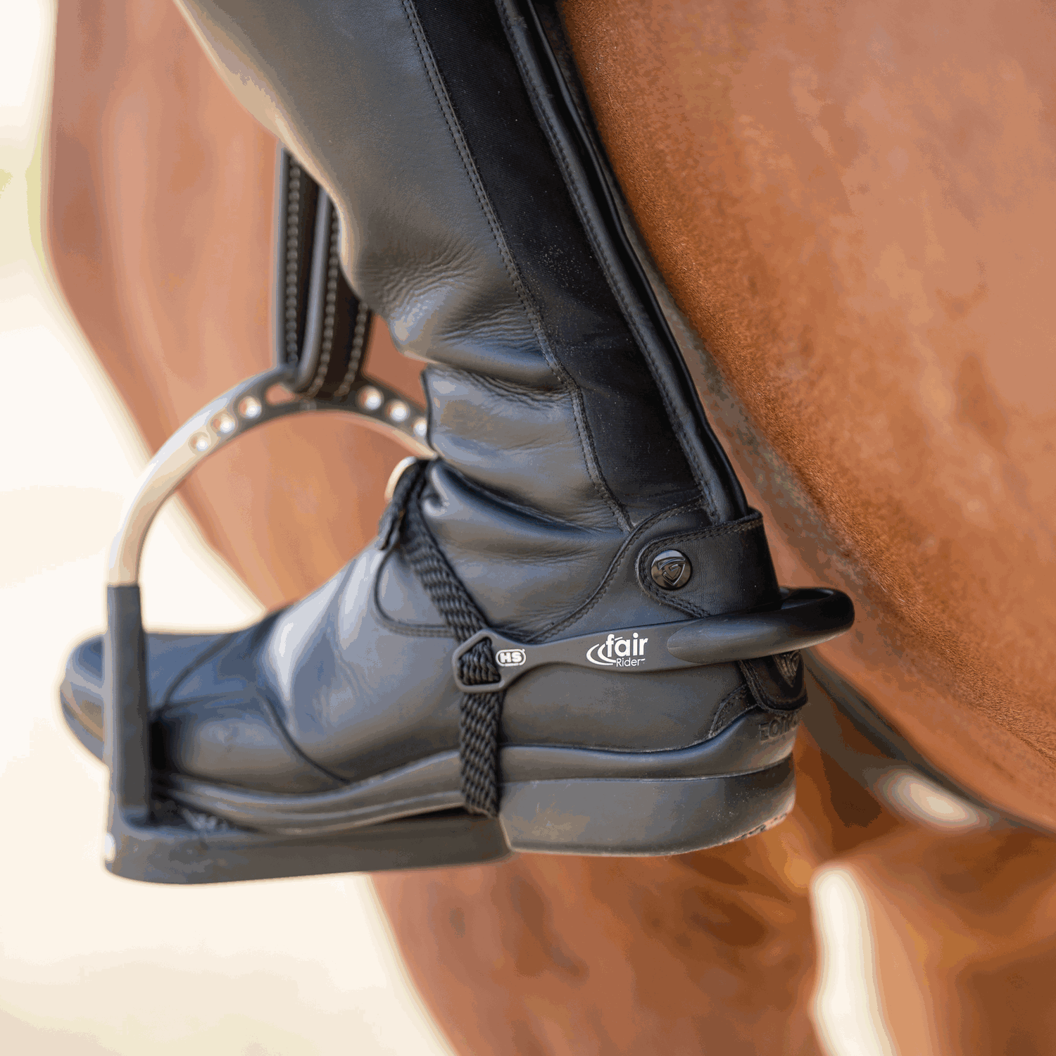 fairRider Sporen Aluminium Hals 20mm dick abgerundet | 4761102053_5.png | 1731068075