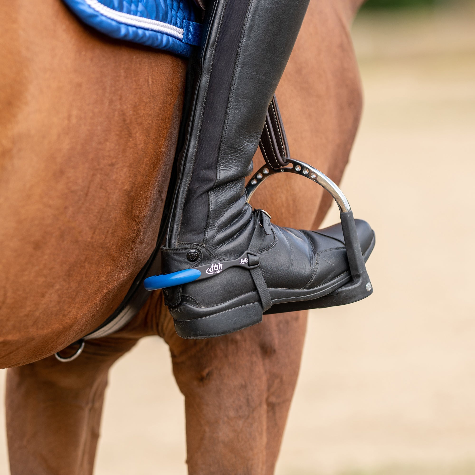 fair Rider Sporen schwarz blau am Schuh