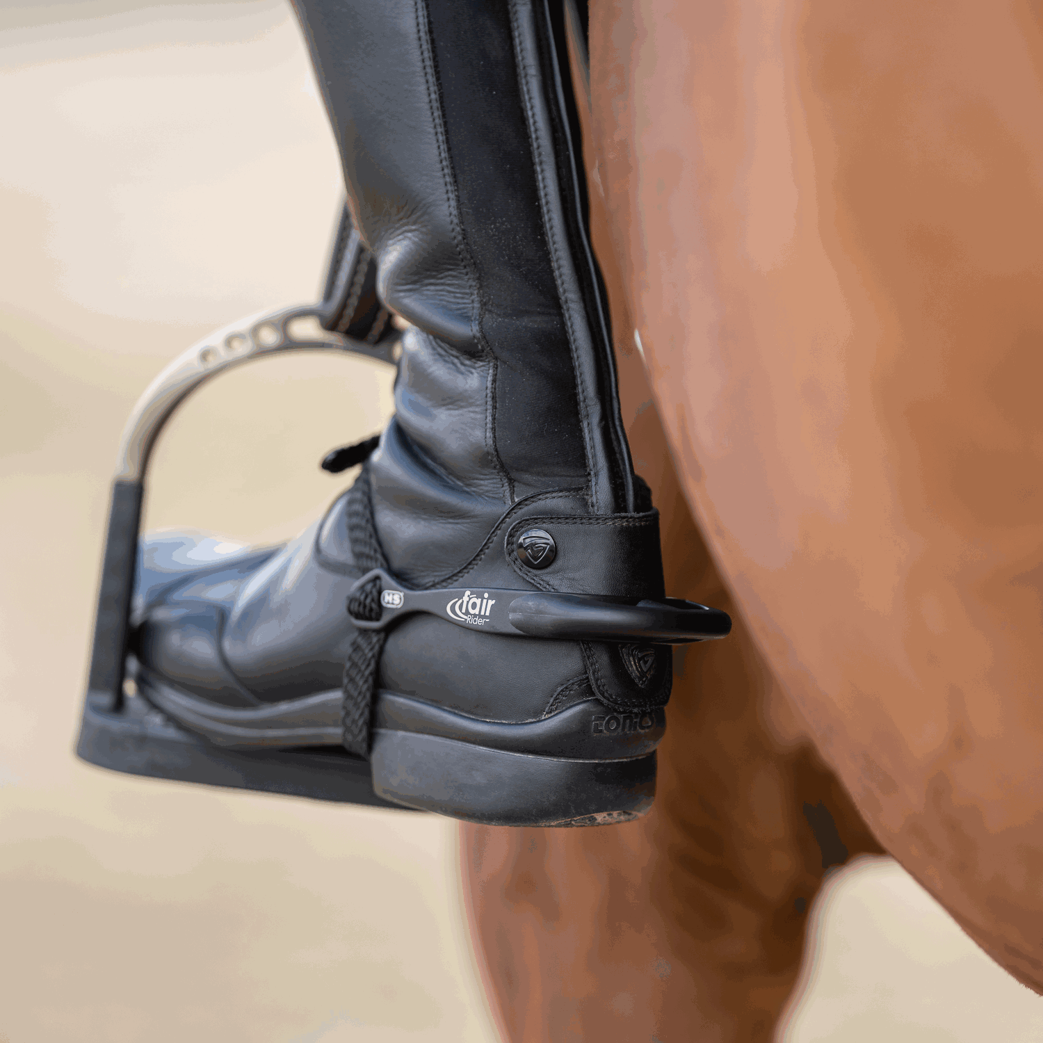 fairRider Sporen Aluminium 25mm Hals dünn abgerundet | 4762102553_4.png | 1731068173