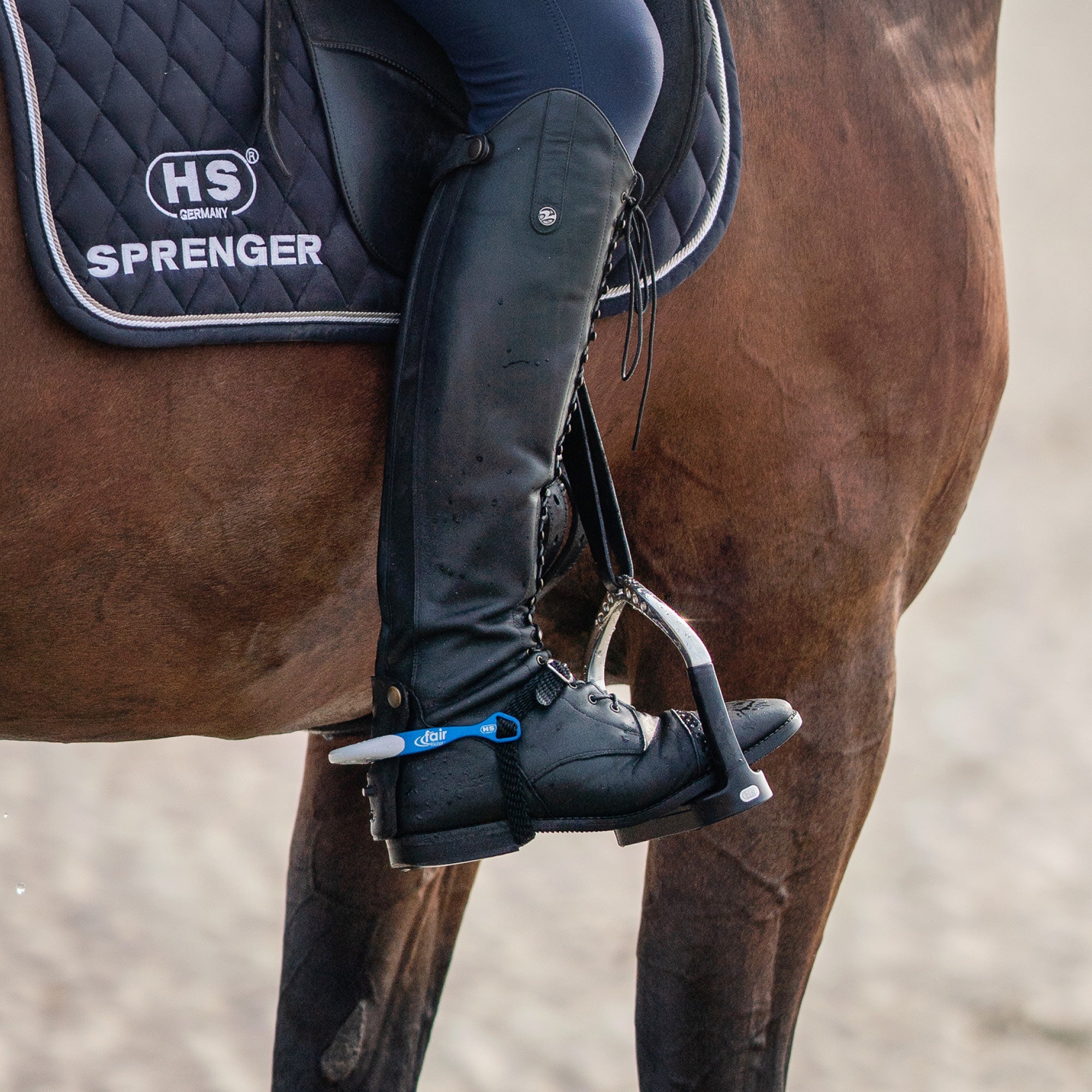 fair Rider Sporen blau silber am Schuh