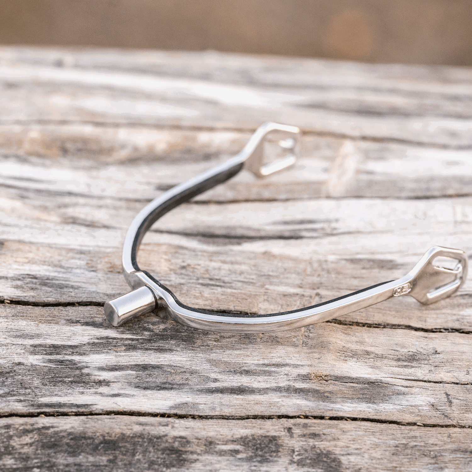 BootProtect Sporen Edelstahl rostfrei 15 mm flach | 4771510055_1.png | 1731067865