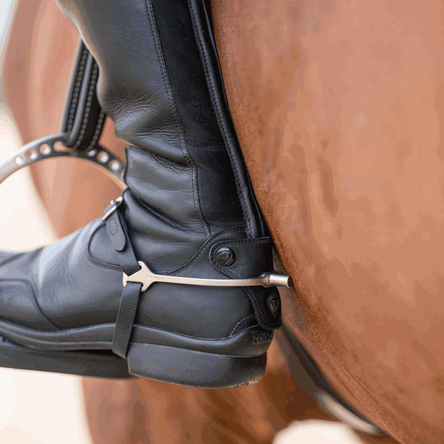 BootProtect Sporen Edelstahl rostfrei matt 15 mm flach | 4771510065_4.png | 1731067884