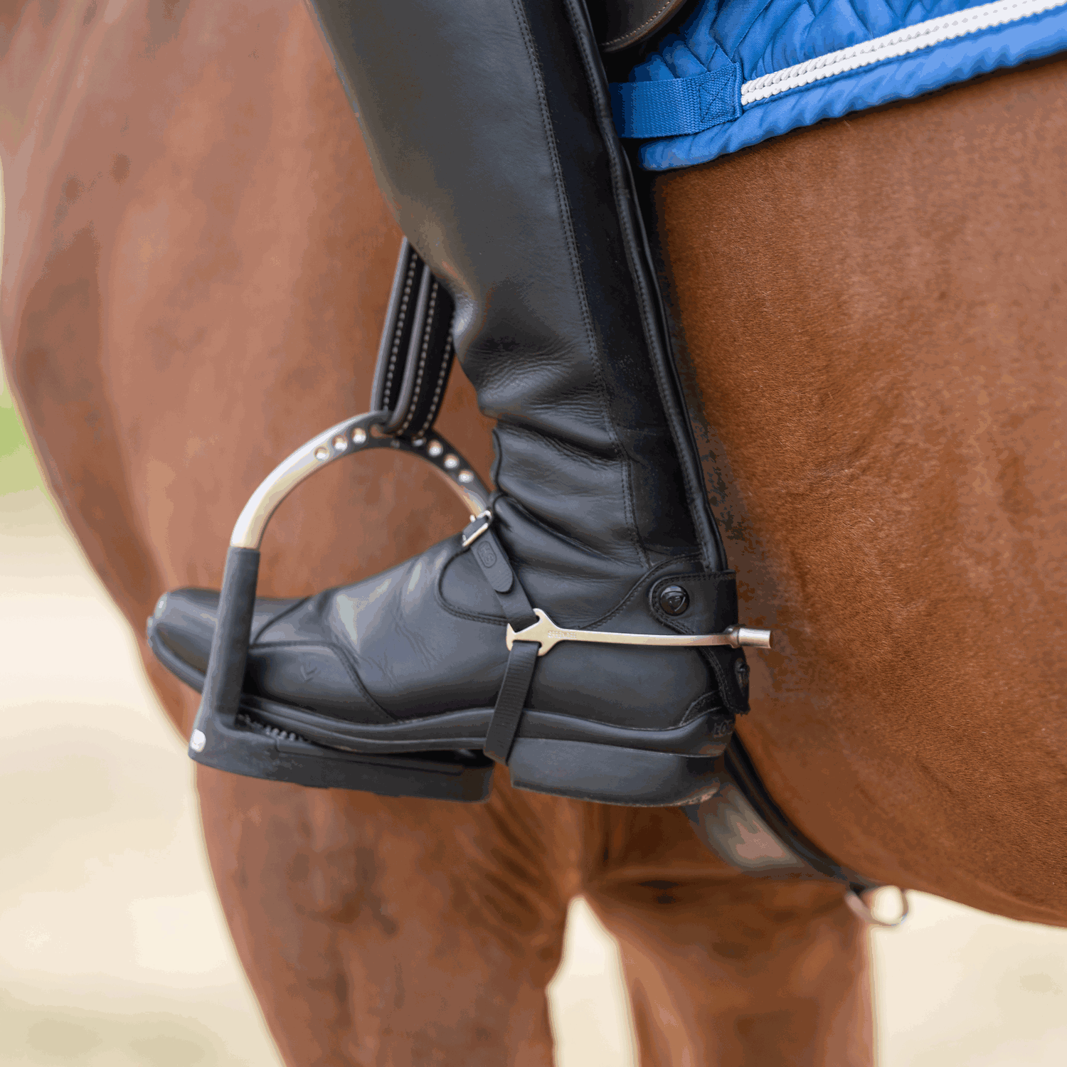 BootProtect Sporen Edelstahl rostfrei matt 15 mm flach | 4771510065_5.png | 1731067885