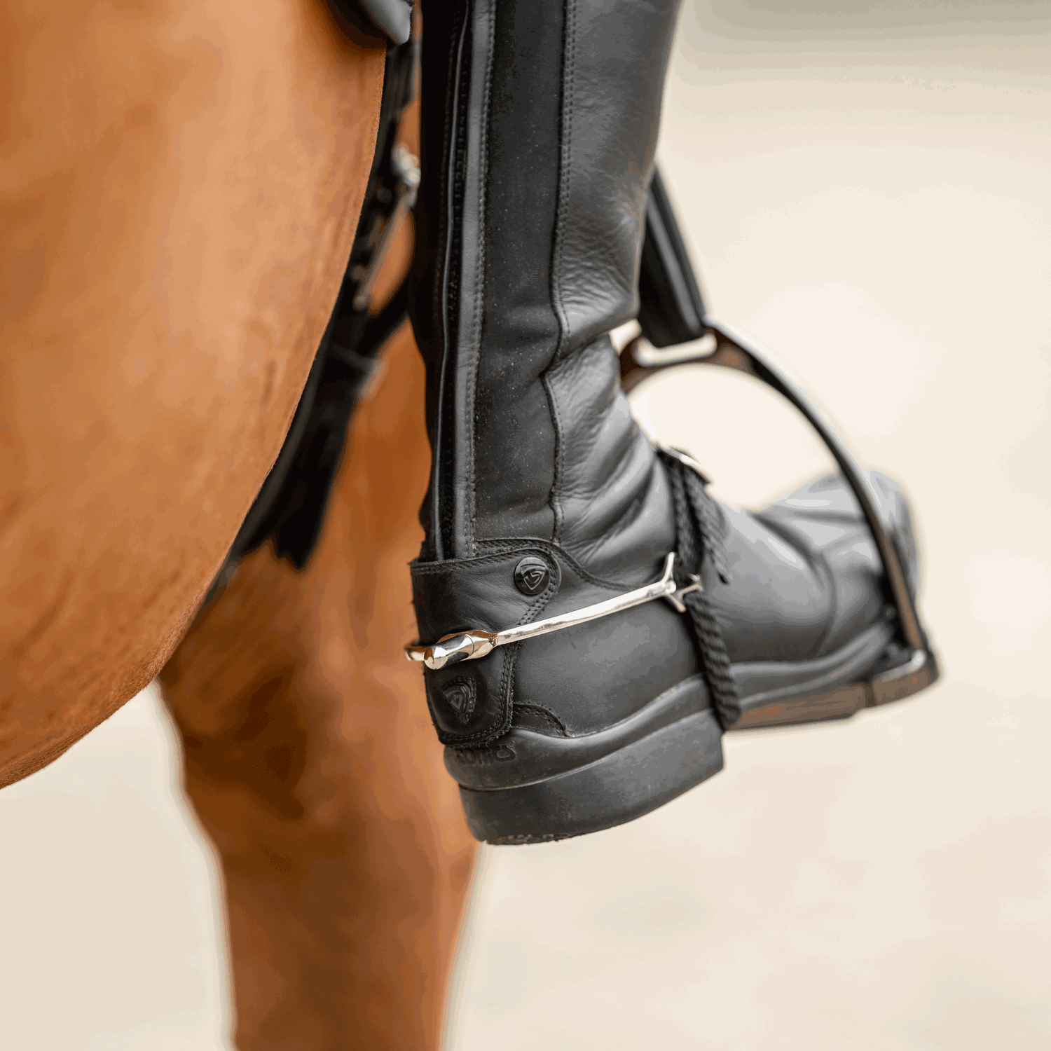 BootProtect Sporen Edelstahl rostfrei 20 mm abgerundet | 4772000055_8.png | 1731067923