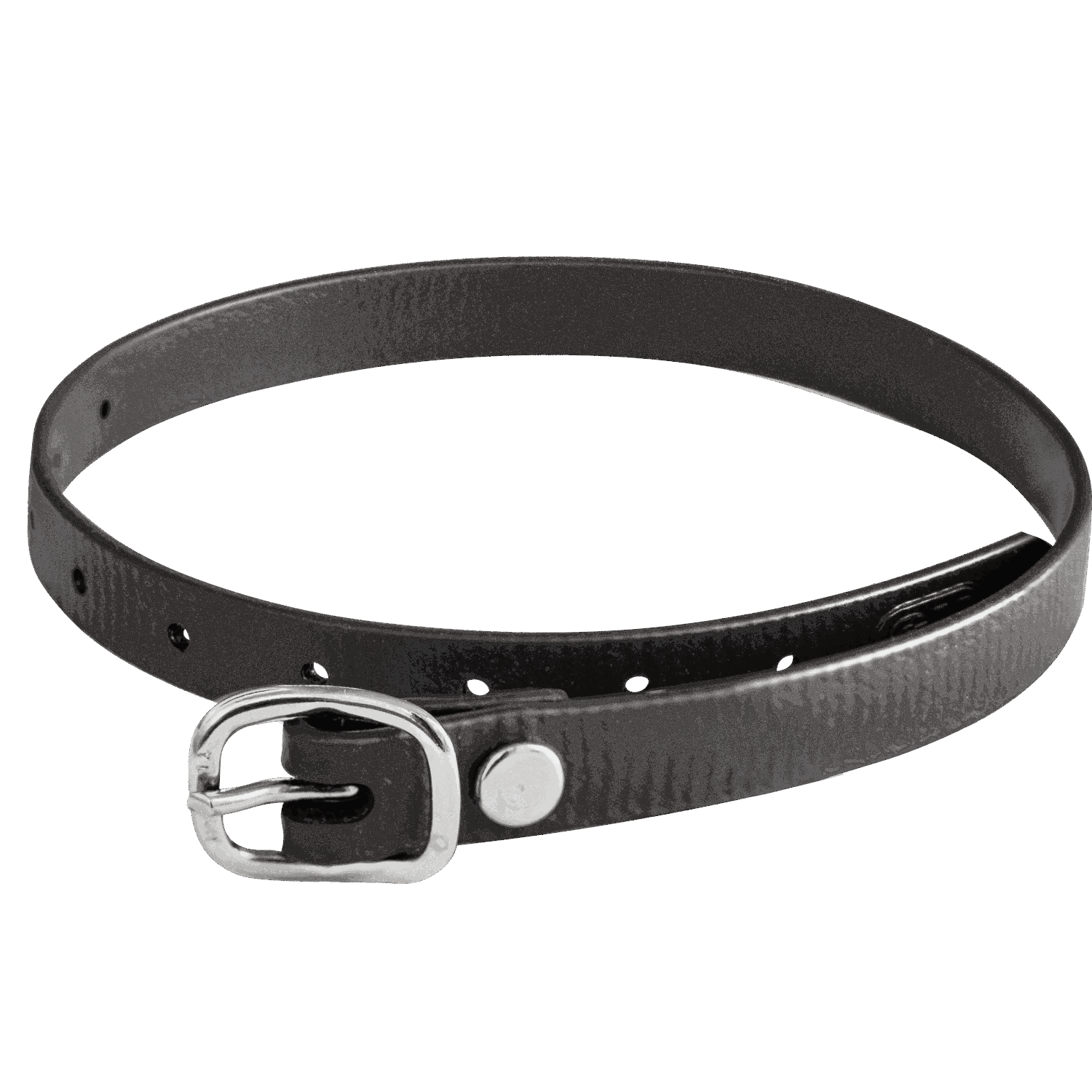 Sporenriemen 45 cm BioThane® schwarz | 4918704500-2.png