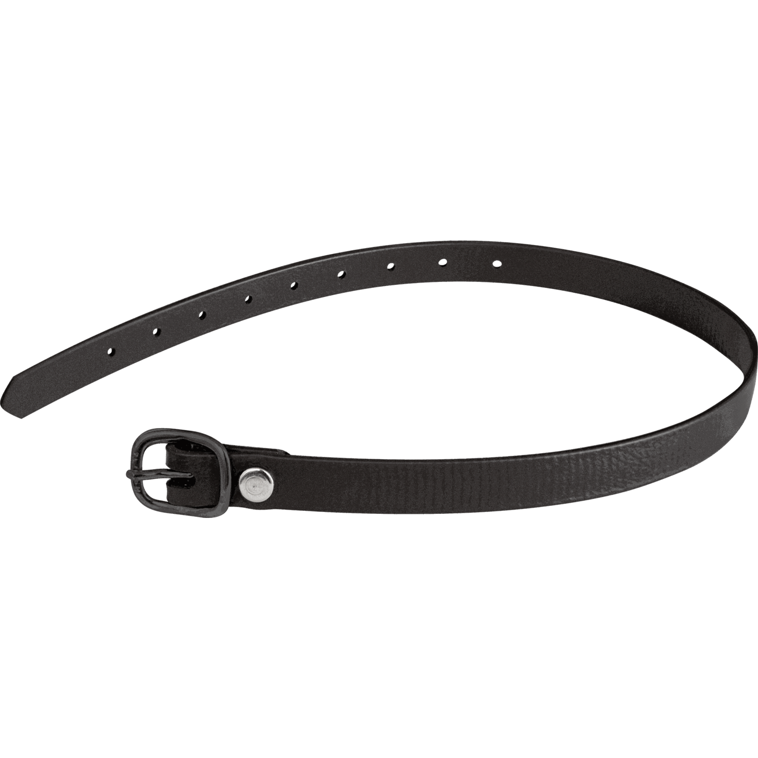 Sporenriemen 45 cm BioThane® schwarz Schnalle schwarz | 4918704561.png