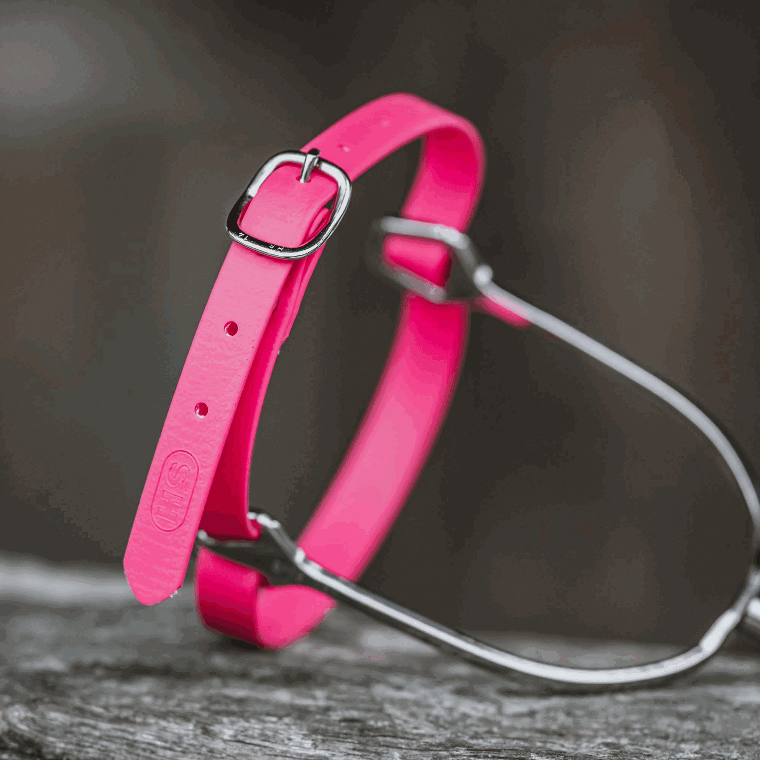 Sporenriemen 45 cm BioThane® pink Schnalle silber | 49187045B0_3.png | 1731069931