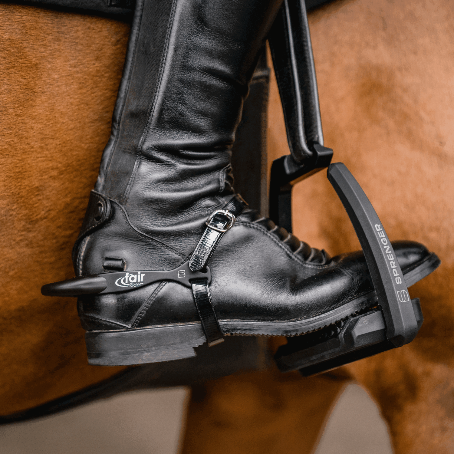 schwarzer Sporenriemen mit schwarzen Stiefeln und braunem Pferd