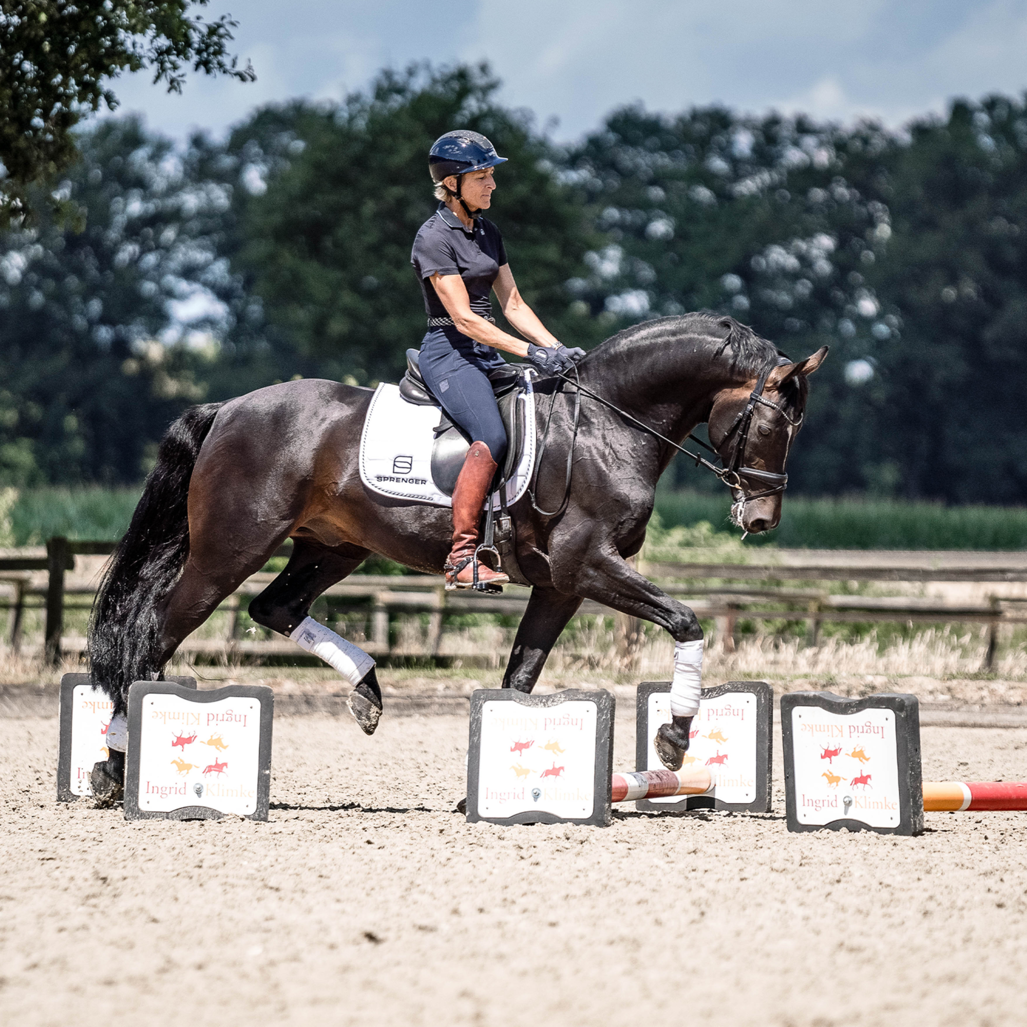 SPRENGER & Ingrid Klimke Bow Balance Steigbügel | 4K26612255_07.png