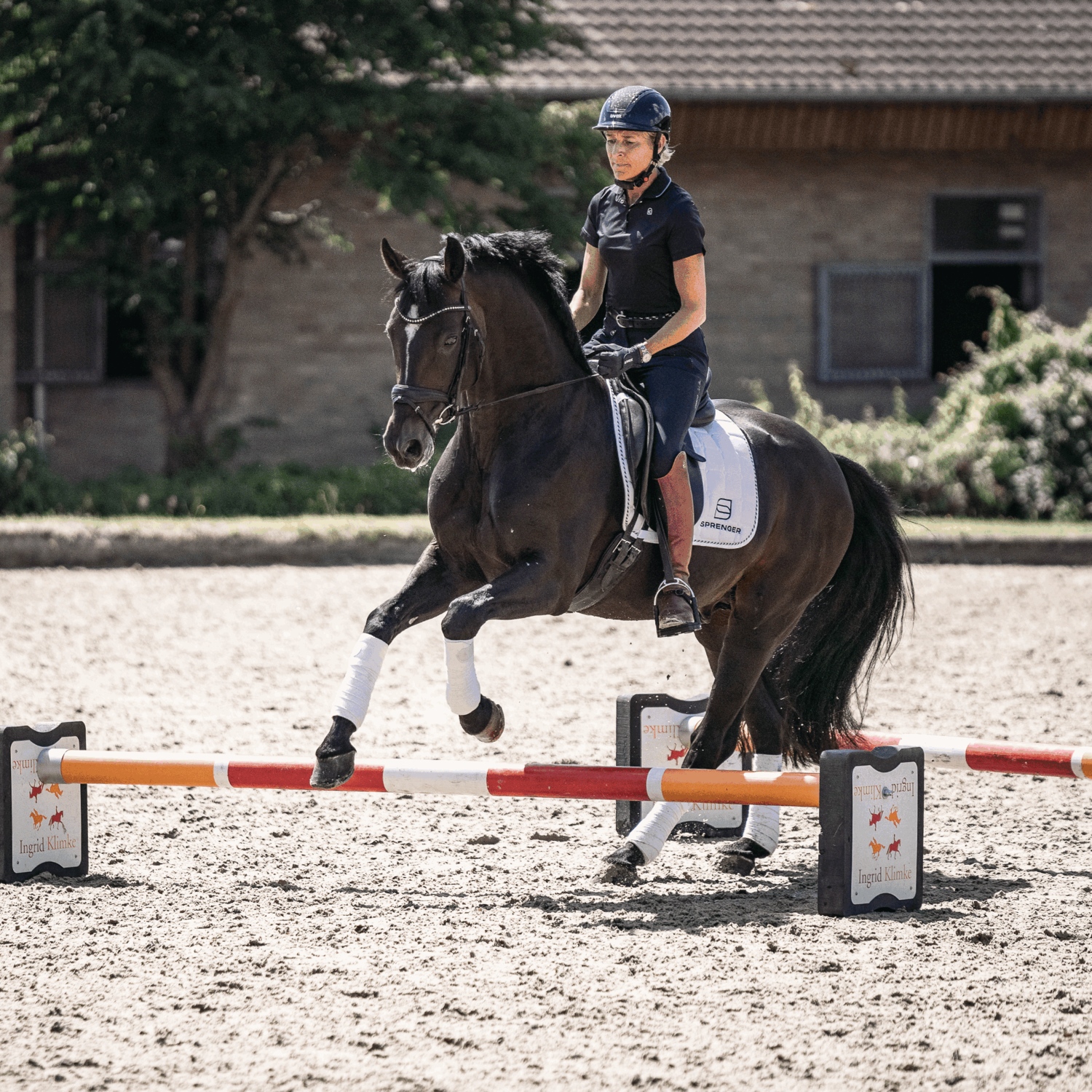 SPRENGER & Ingrid Klimke KK ULTRA Wassertrense Sensogan | 4K26612255_11.png | 1744063340